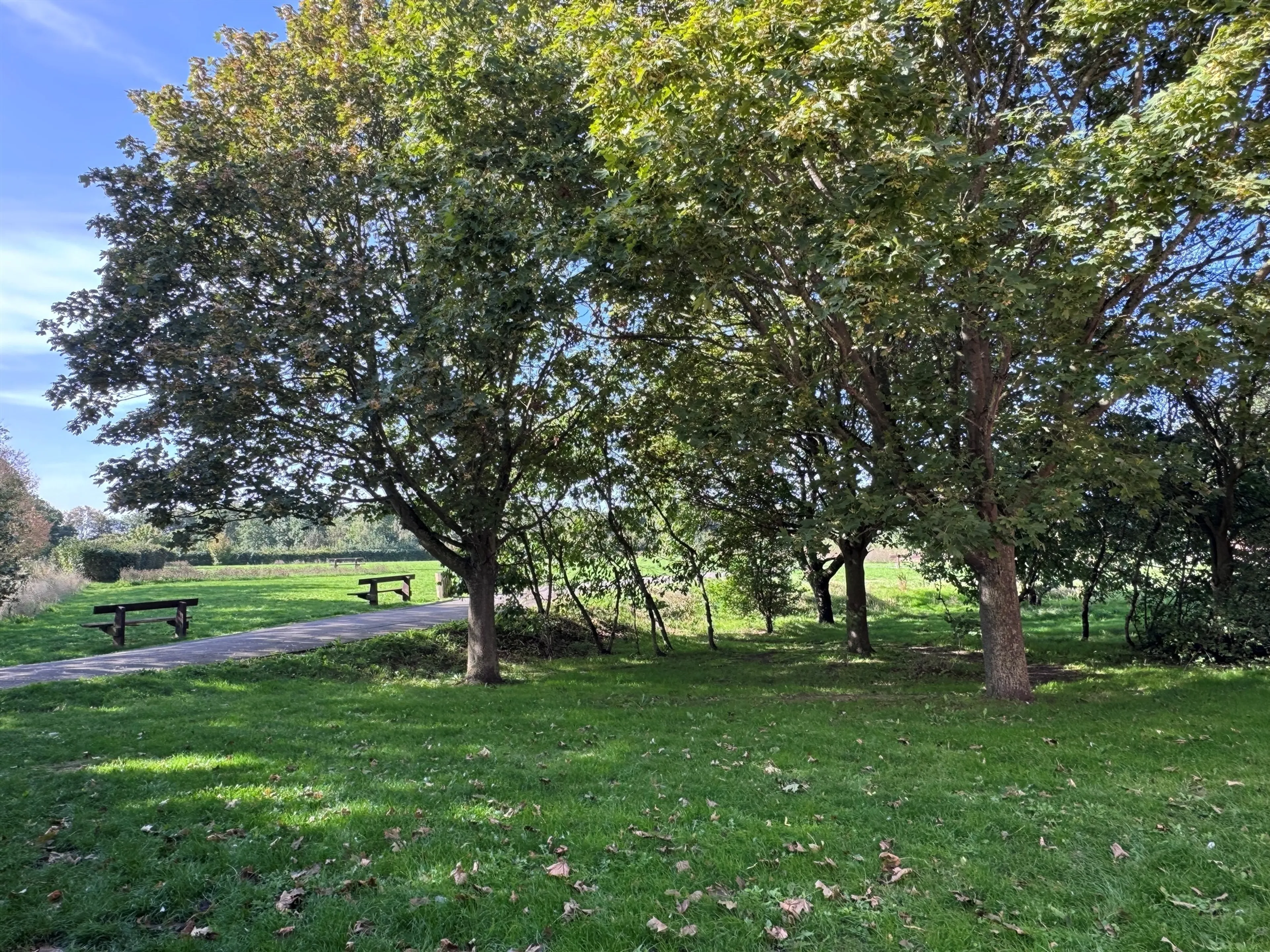 Property photo 23