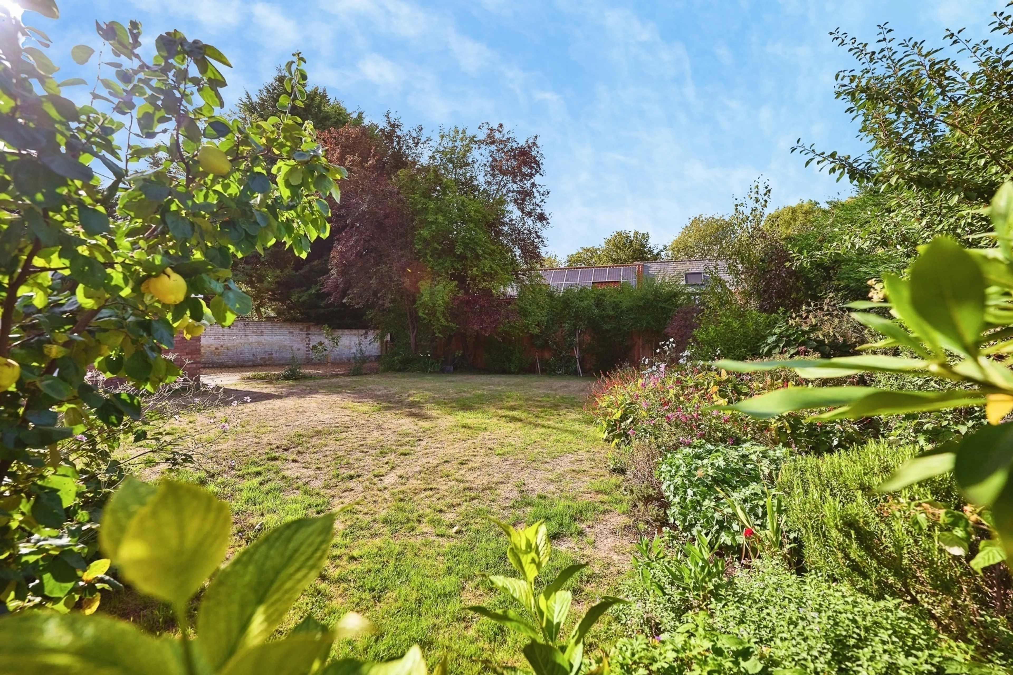 Property photo 19