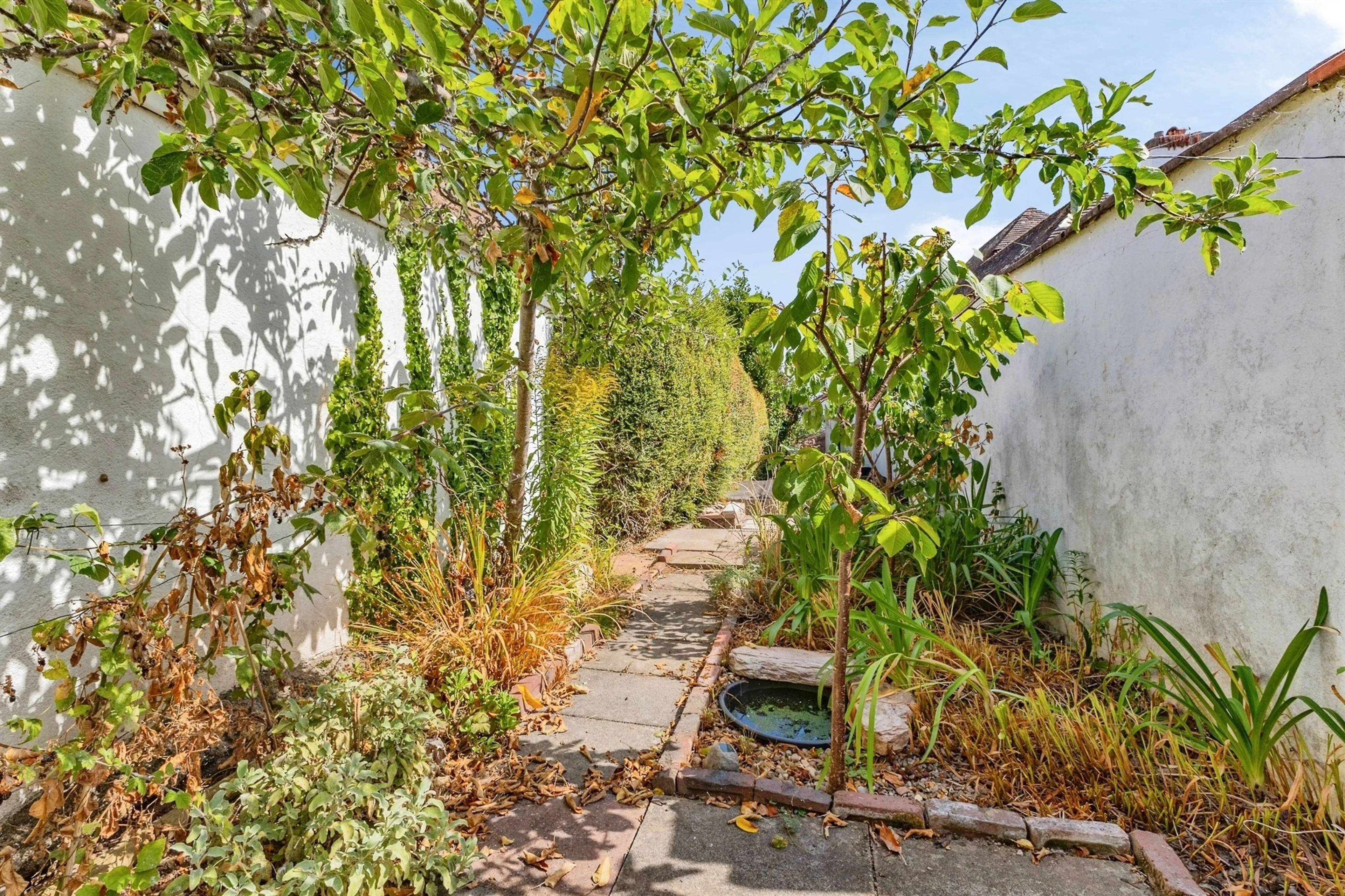 Property photo 37