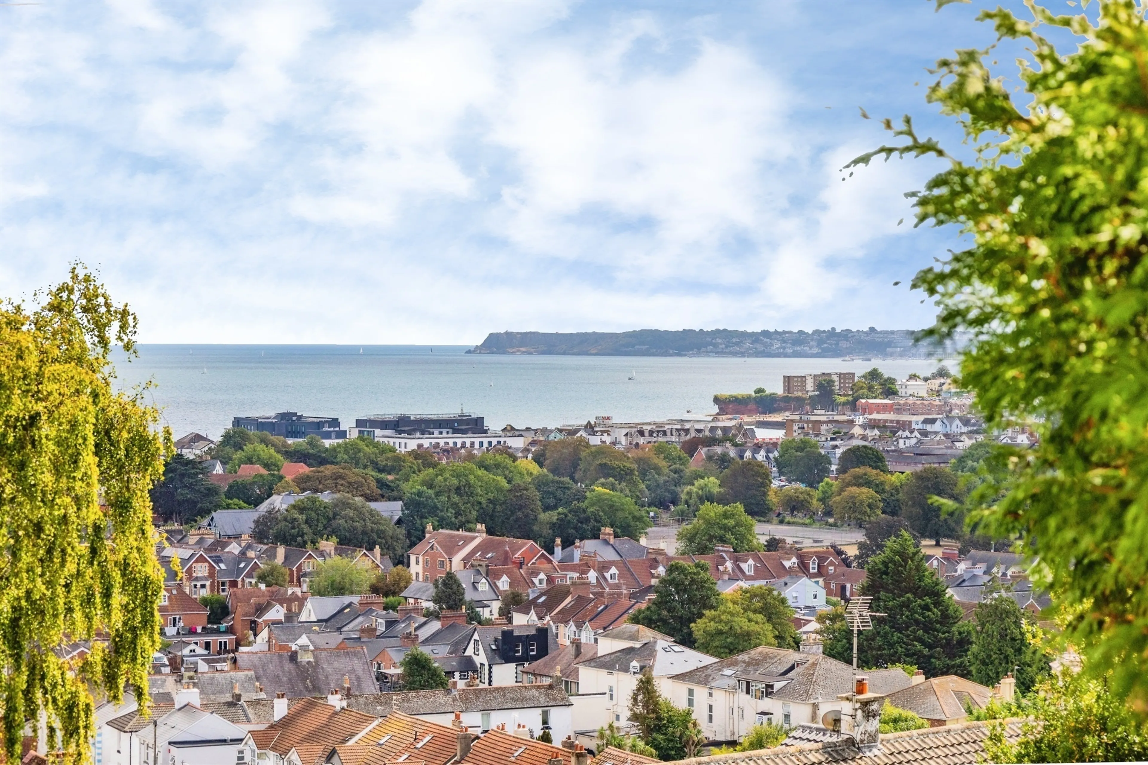 Property photo 45