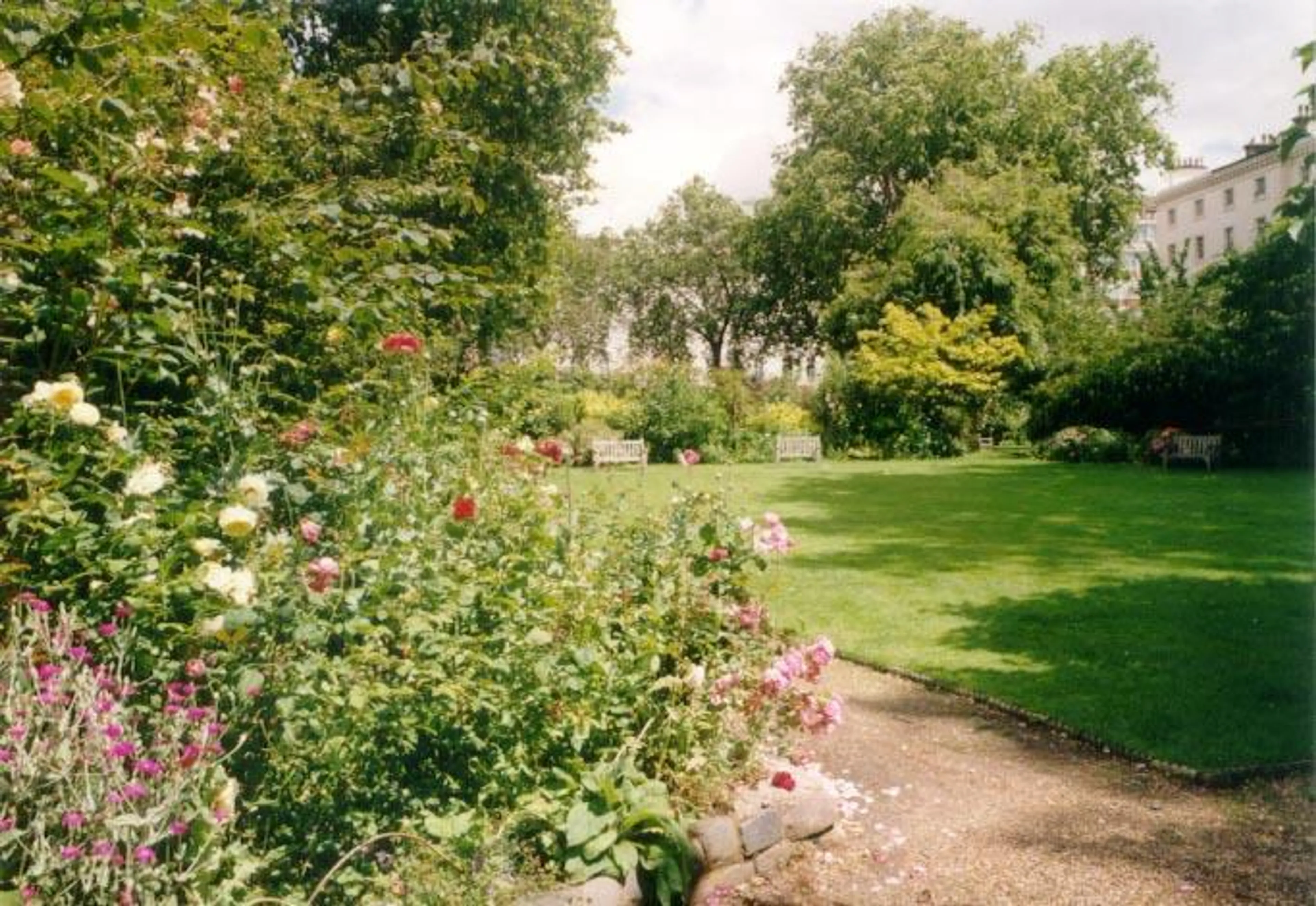 Photo 4