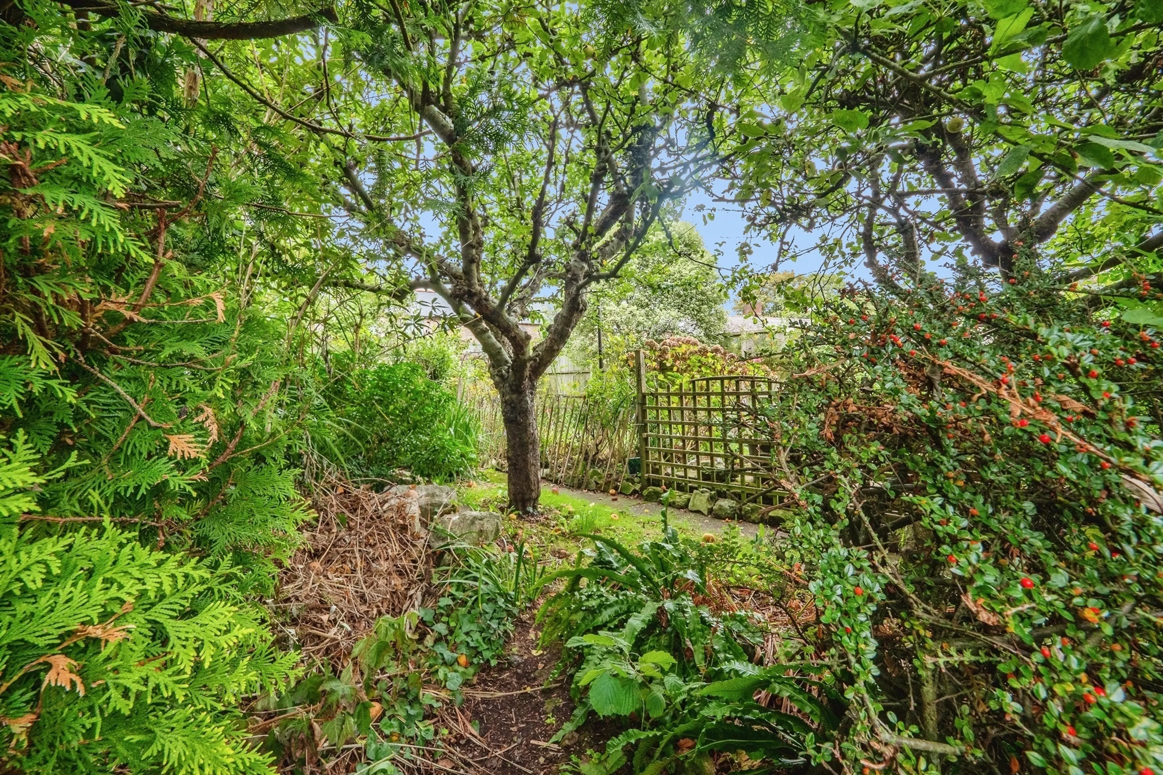 Property photo 15