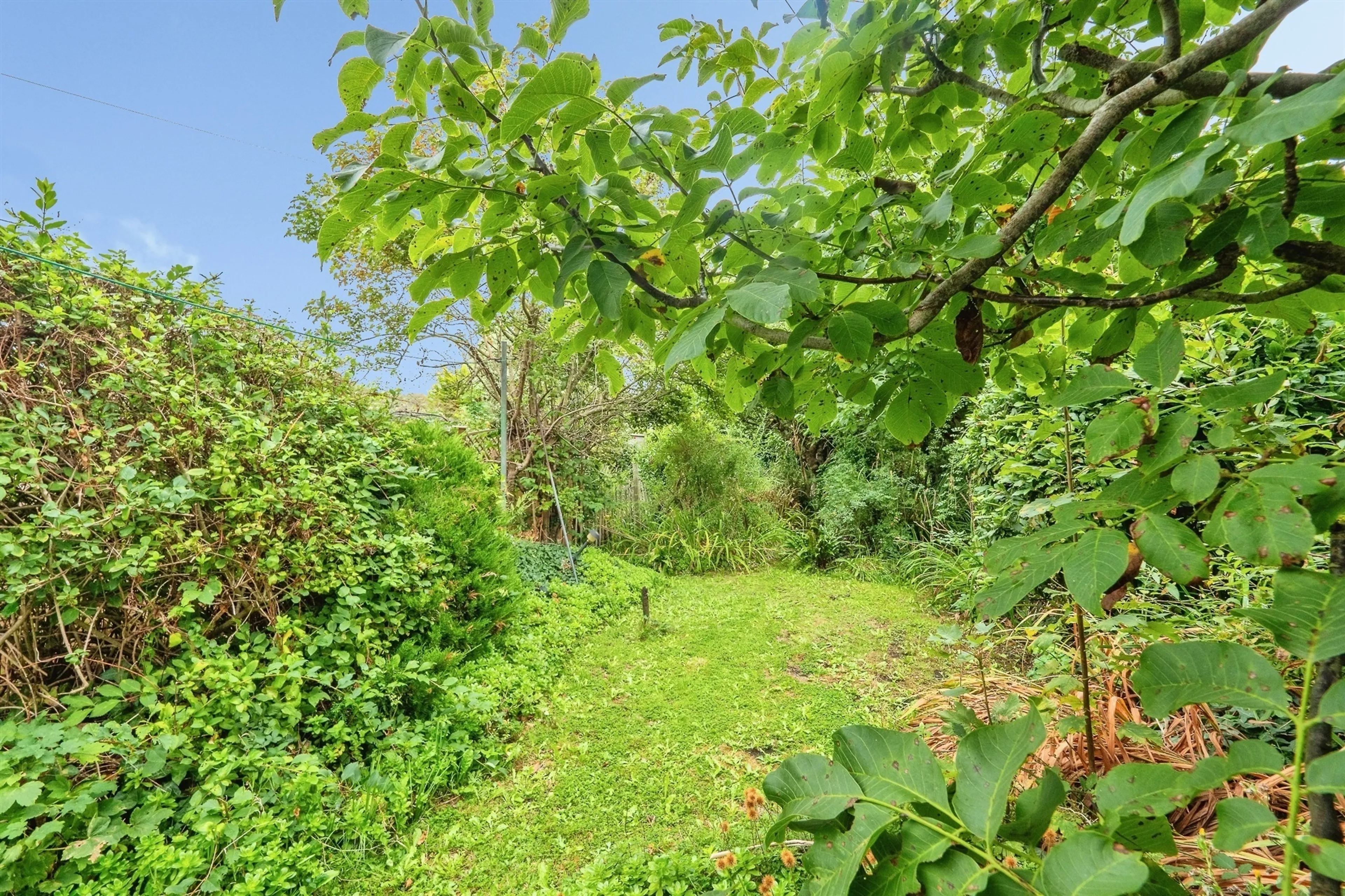 Property photo 18