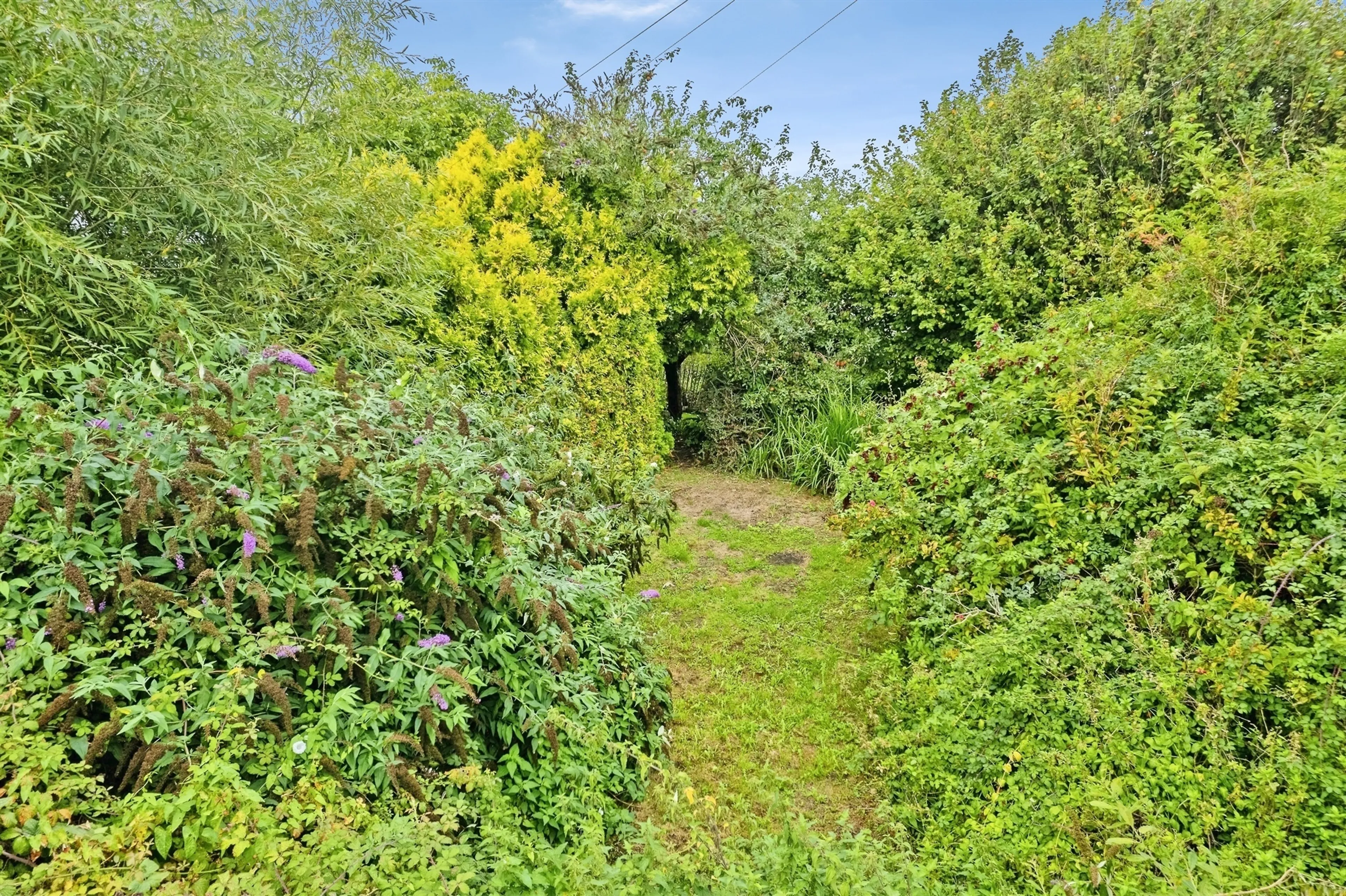 Property photo 22