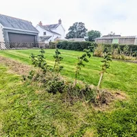 Property 20