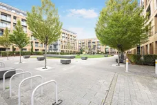 Dunn Side, Chelmsford
