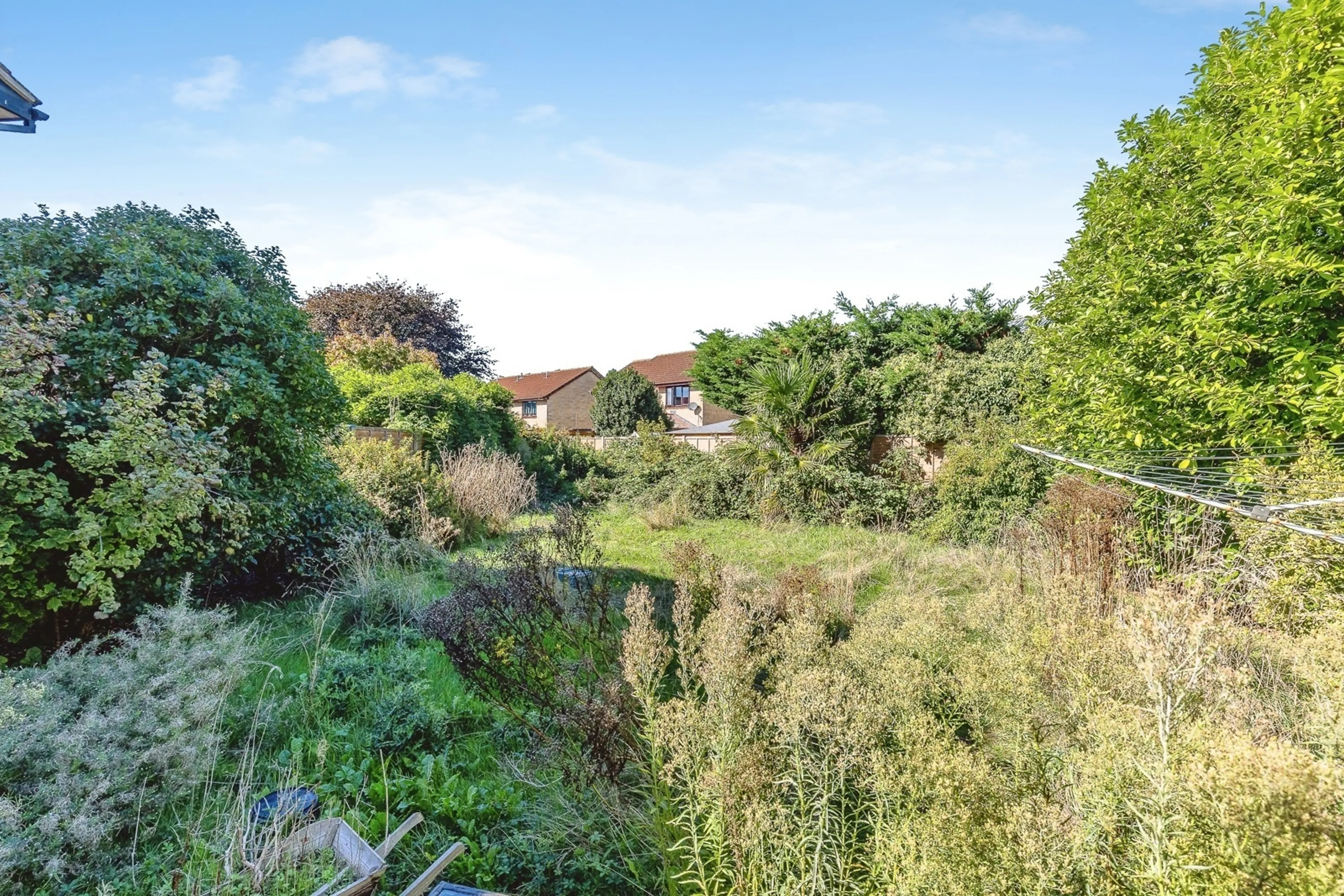 Property photo 19