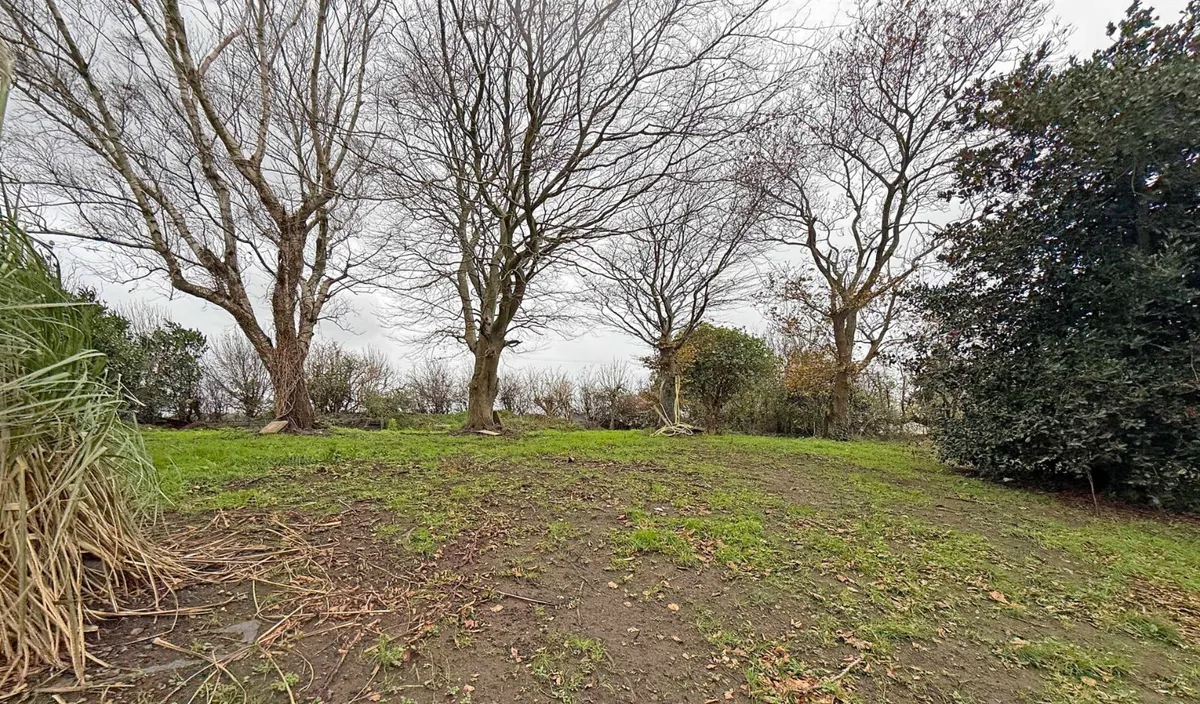 Bryn Y Waen, Y Felinheli, Gwynedd, LL56