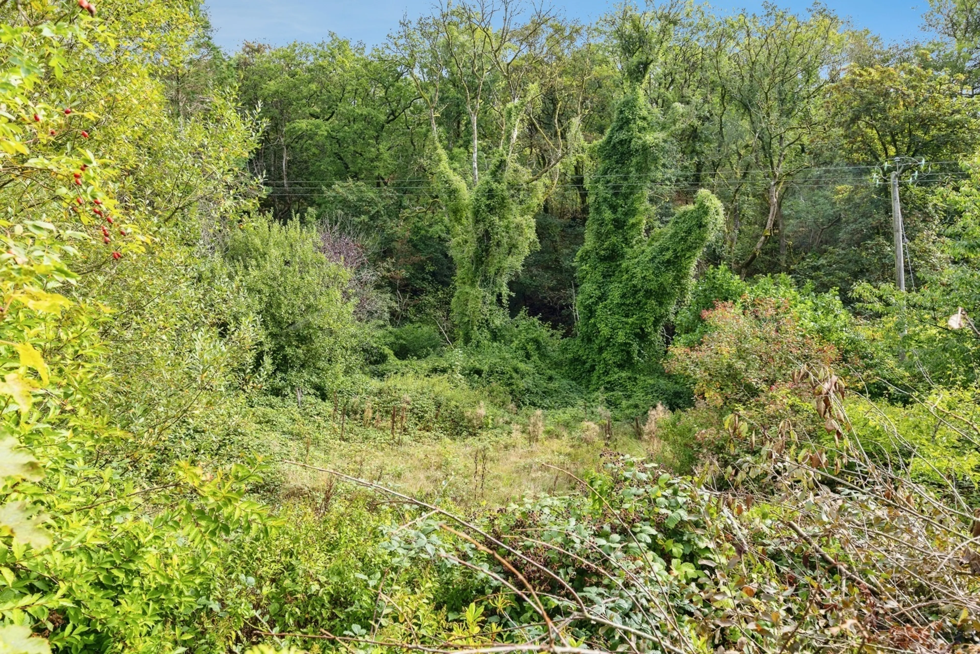 Property photo 19