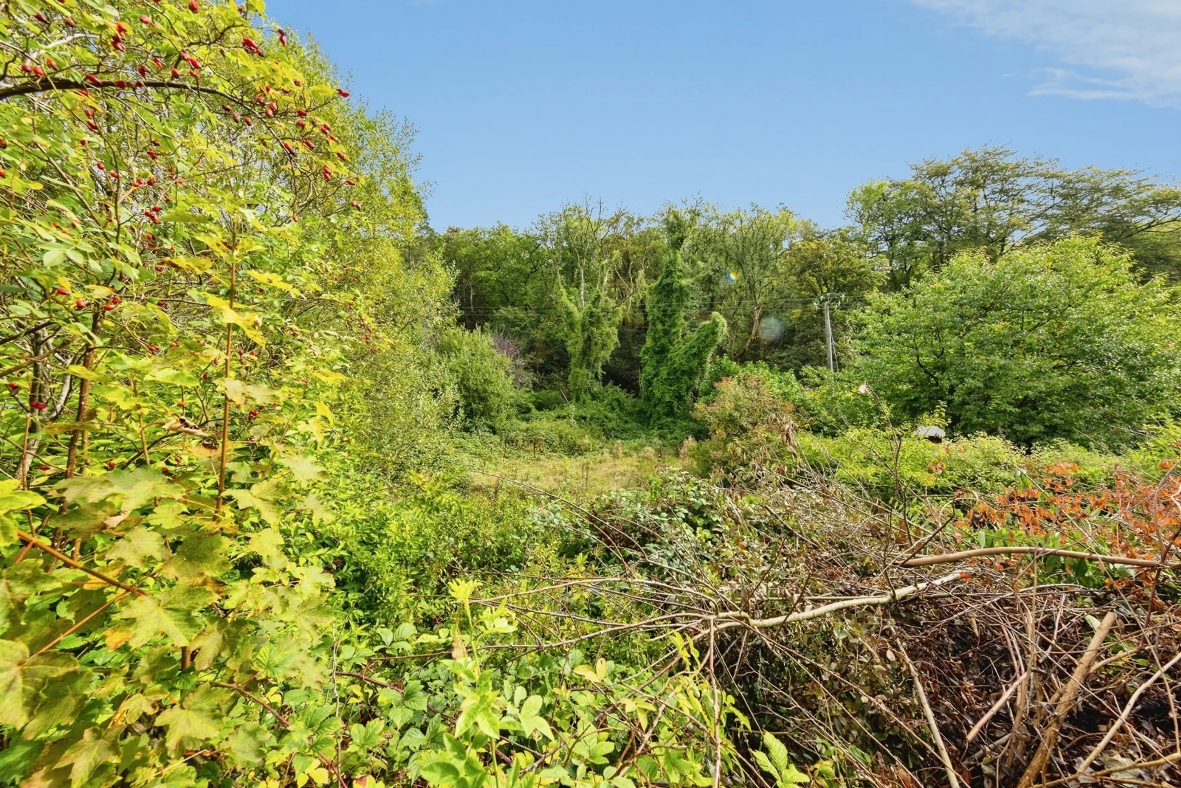Property photo 20