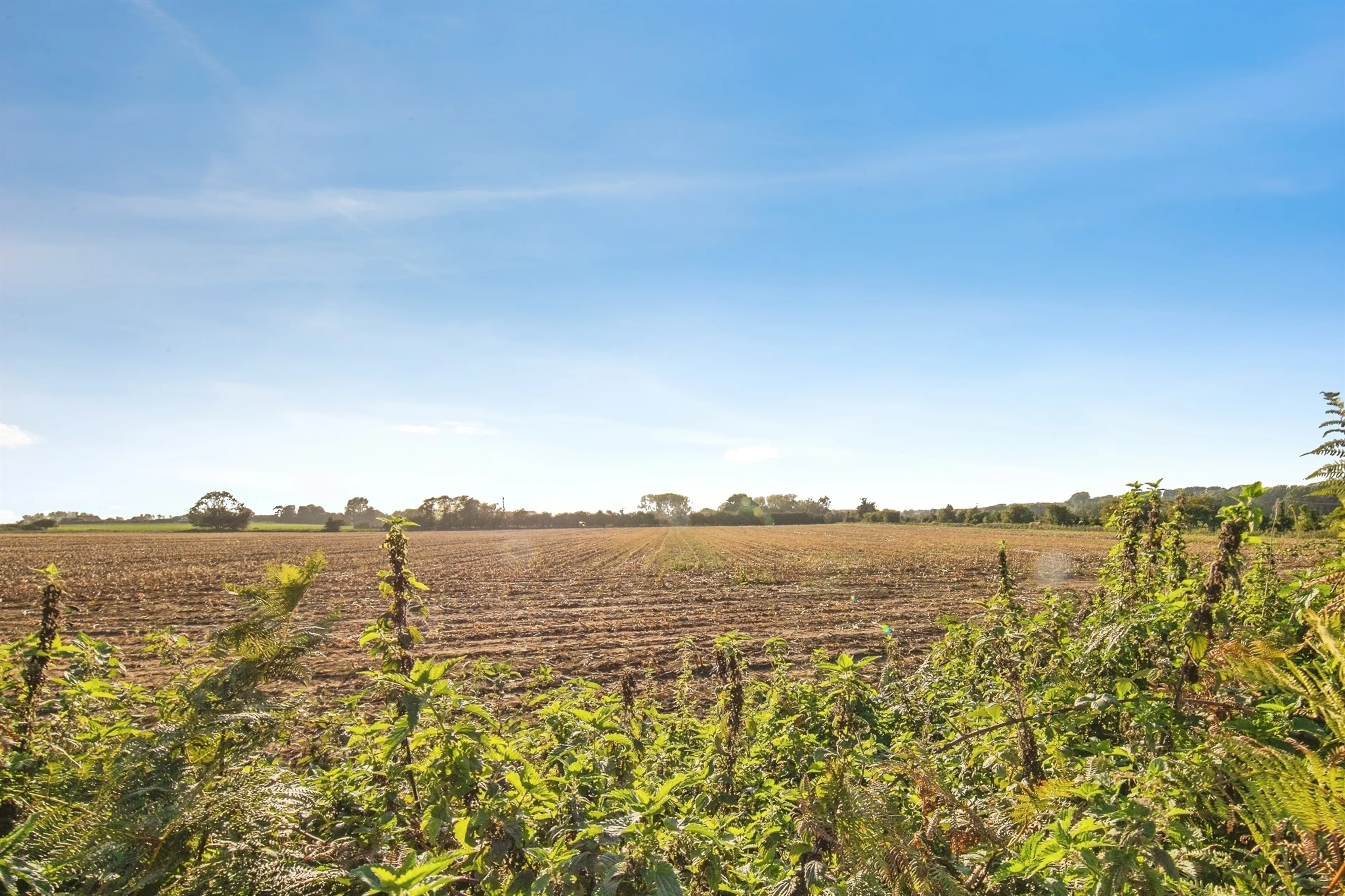 Property at The Street, Alderton, Woodbridge