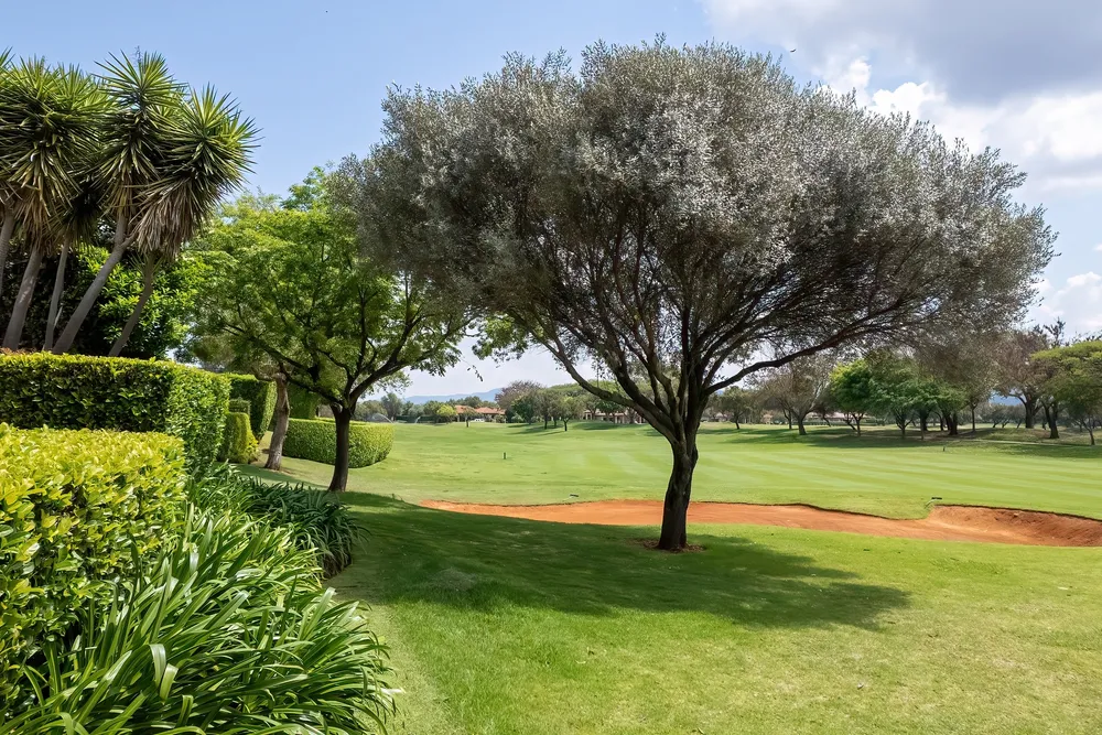 South Africa, North West, Pecanwood Estate