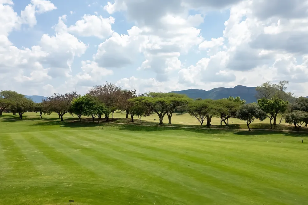 South Africa, North West, Pecanwood Estate