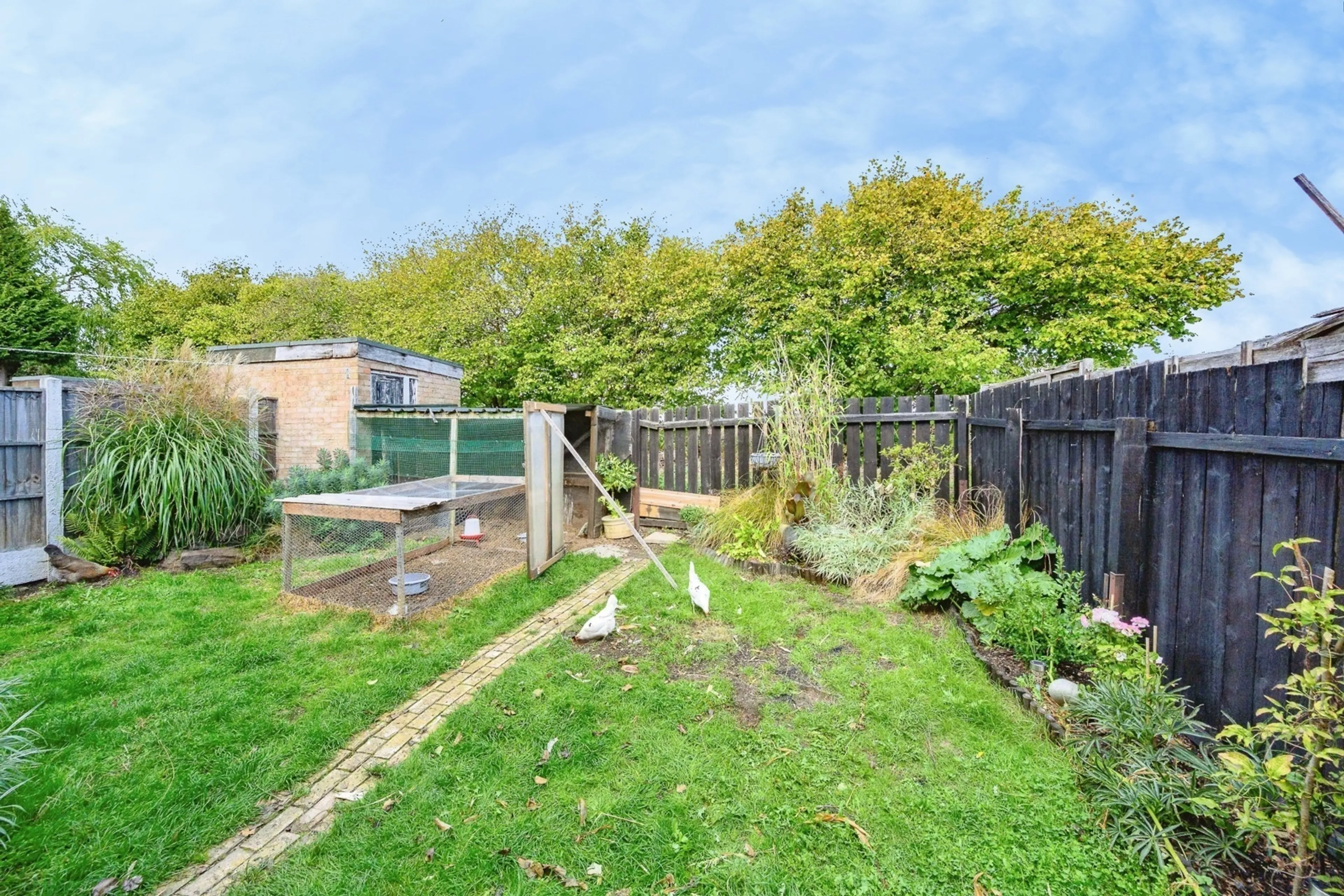 Property photo 16