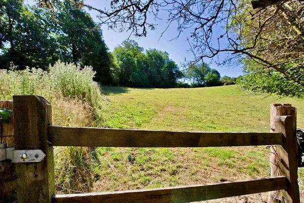 Trusham, Teign Valley, TQ13 photo 26