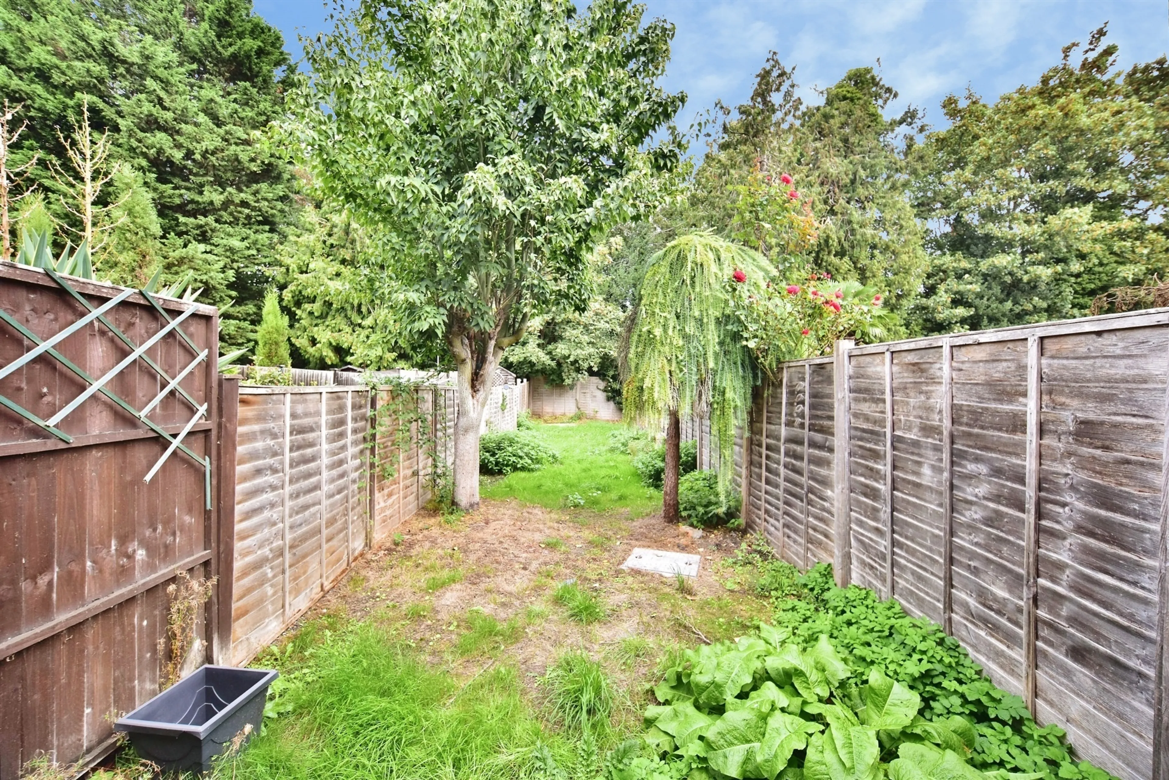 Property photo 13