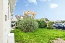 Trinity Close, Bere Alston, Yelverton