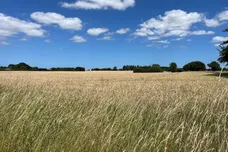 Kettlestone Road, Little Snoring, Fakenham