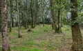 Property image gallery