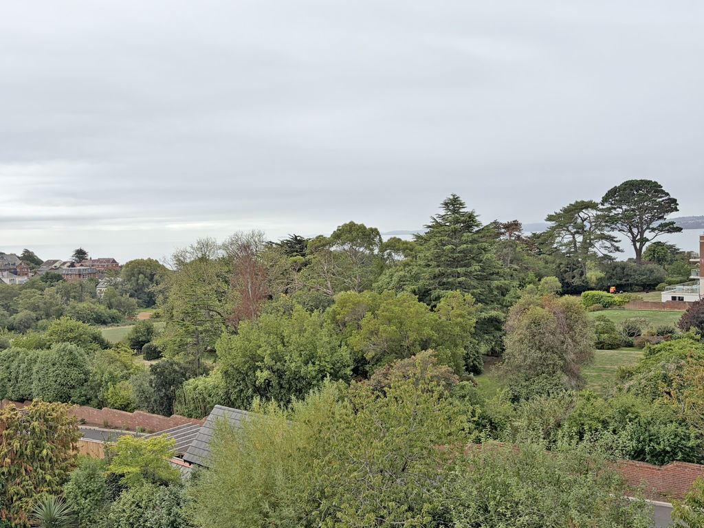Douglas Avenue, Exmouth Image 9