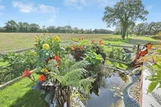 Croft Meadow, Necton, Swaffham