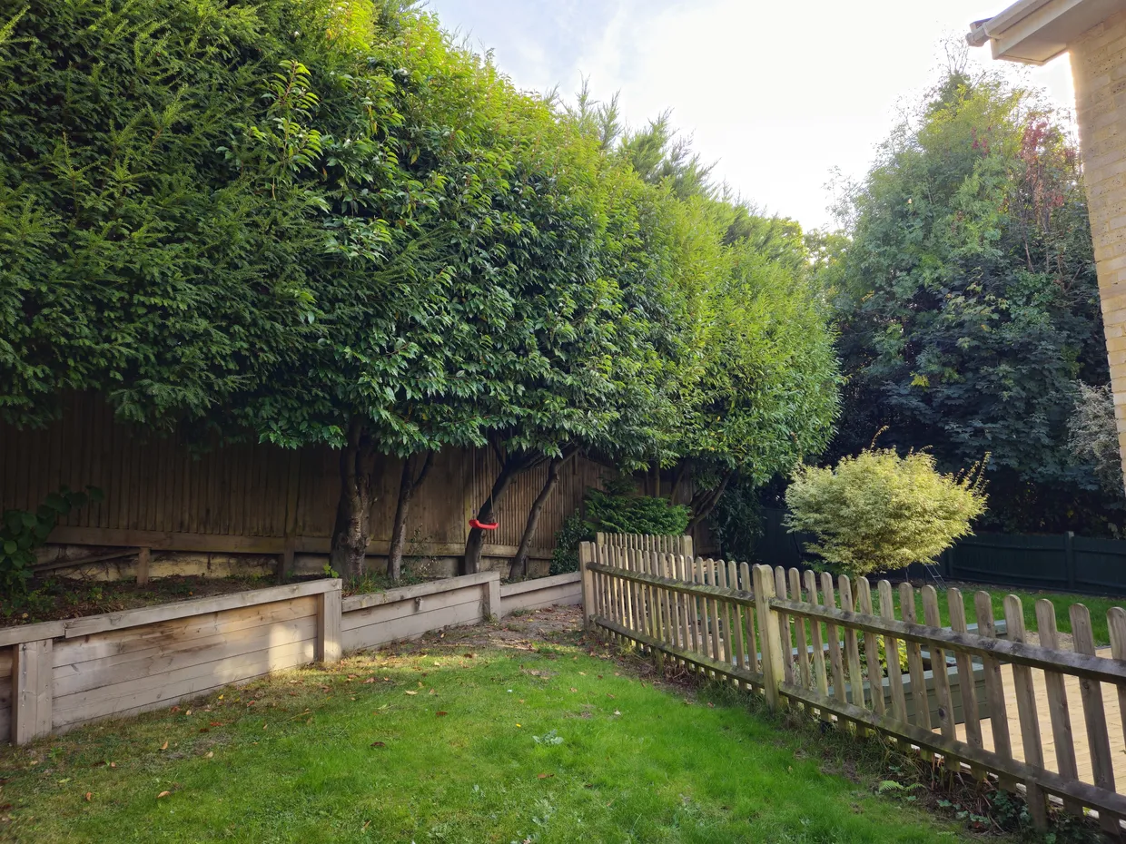 Broad Oak Close, Tunbridge Wells, TN2 photo 13