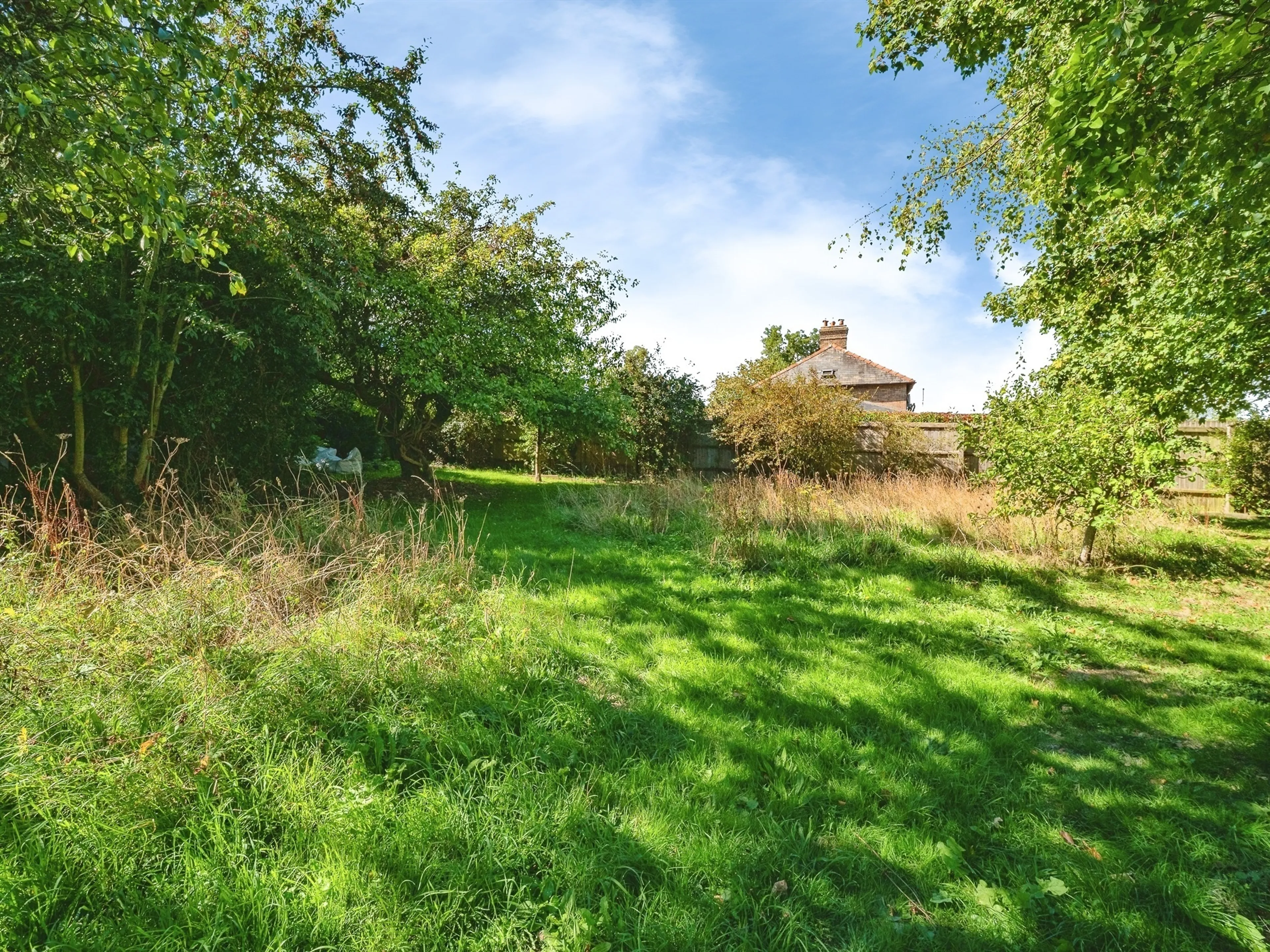 Property photo 19