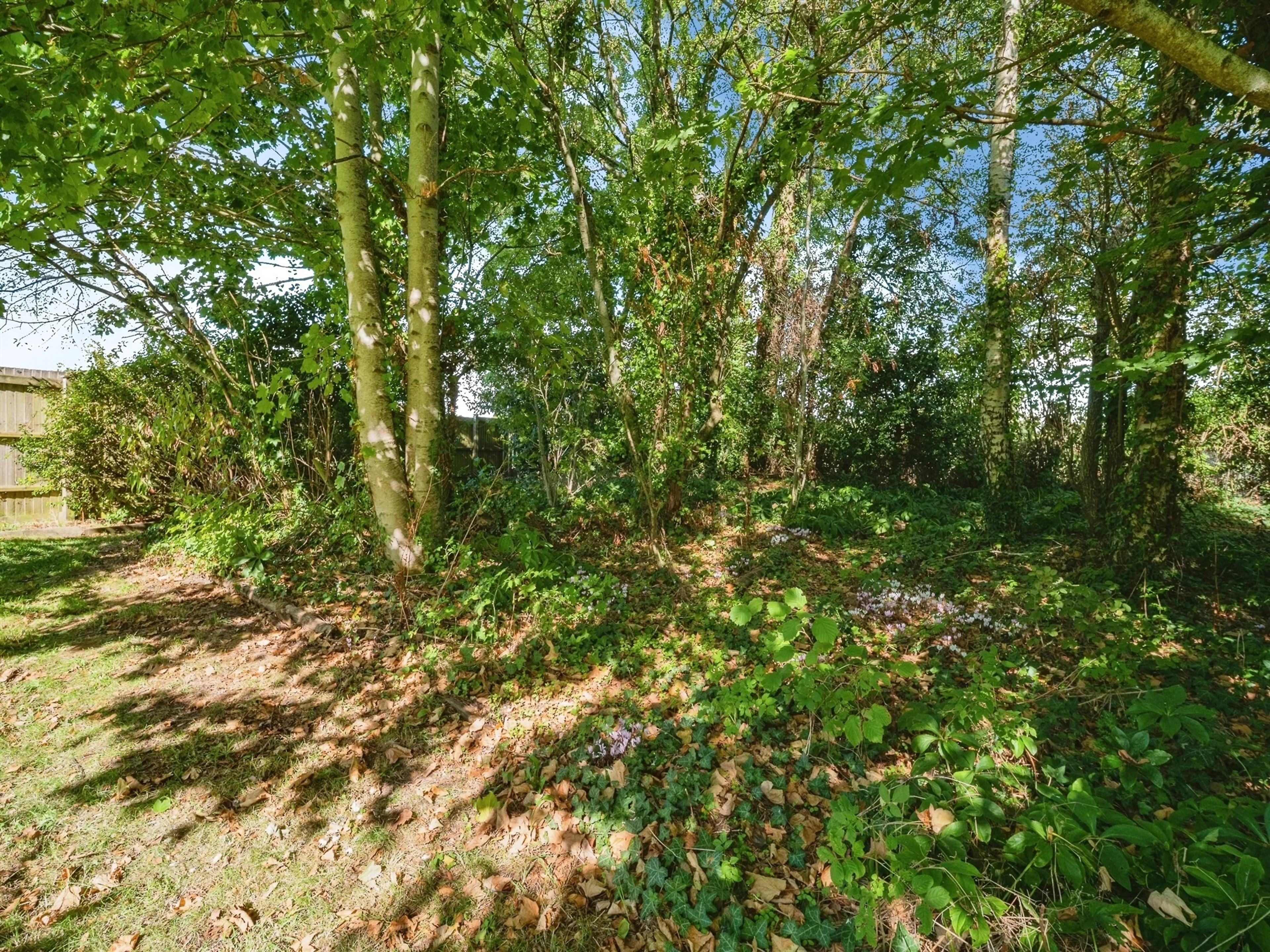 Property photo 21
