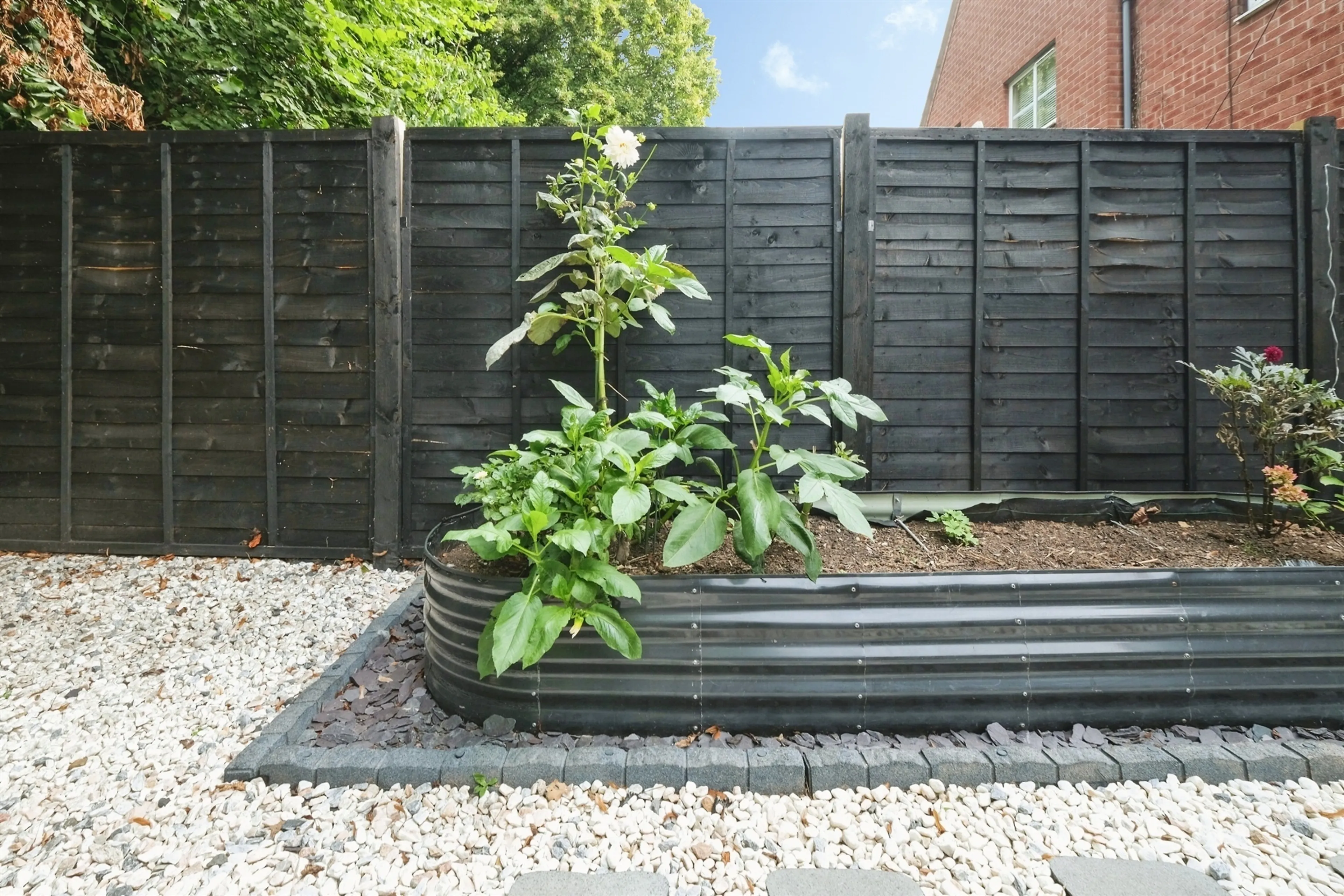 Property photo 22