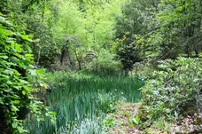 Cokes Lane, Chalfont St. Giles, HP8 photo 16