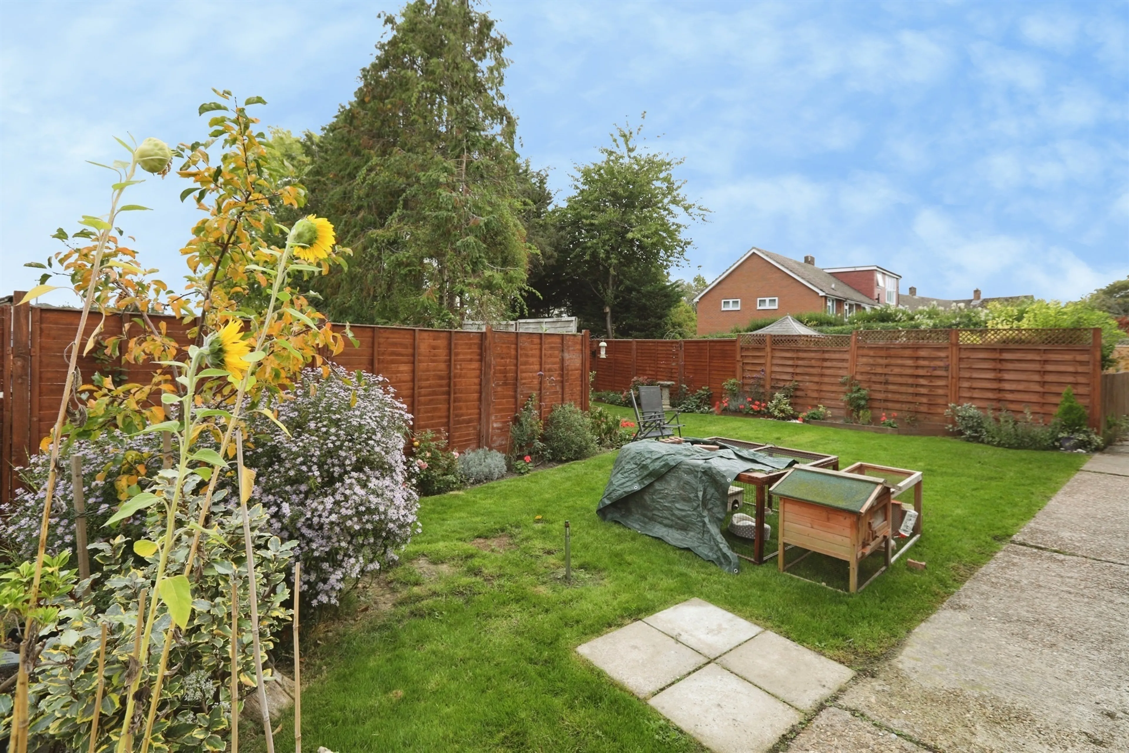 Property photo 17