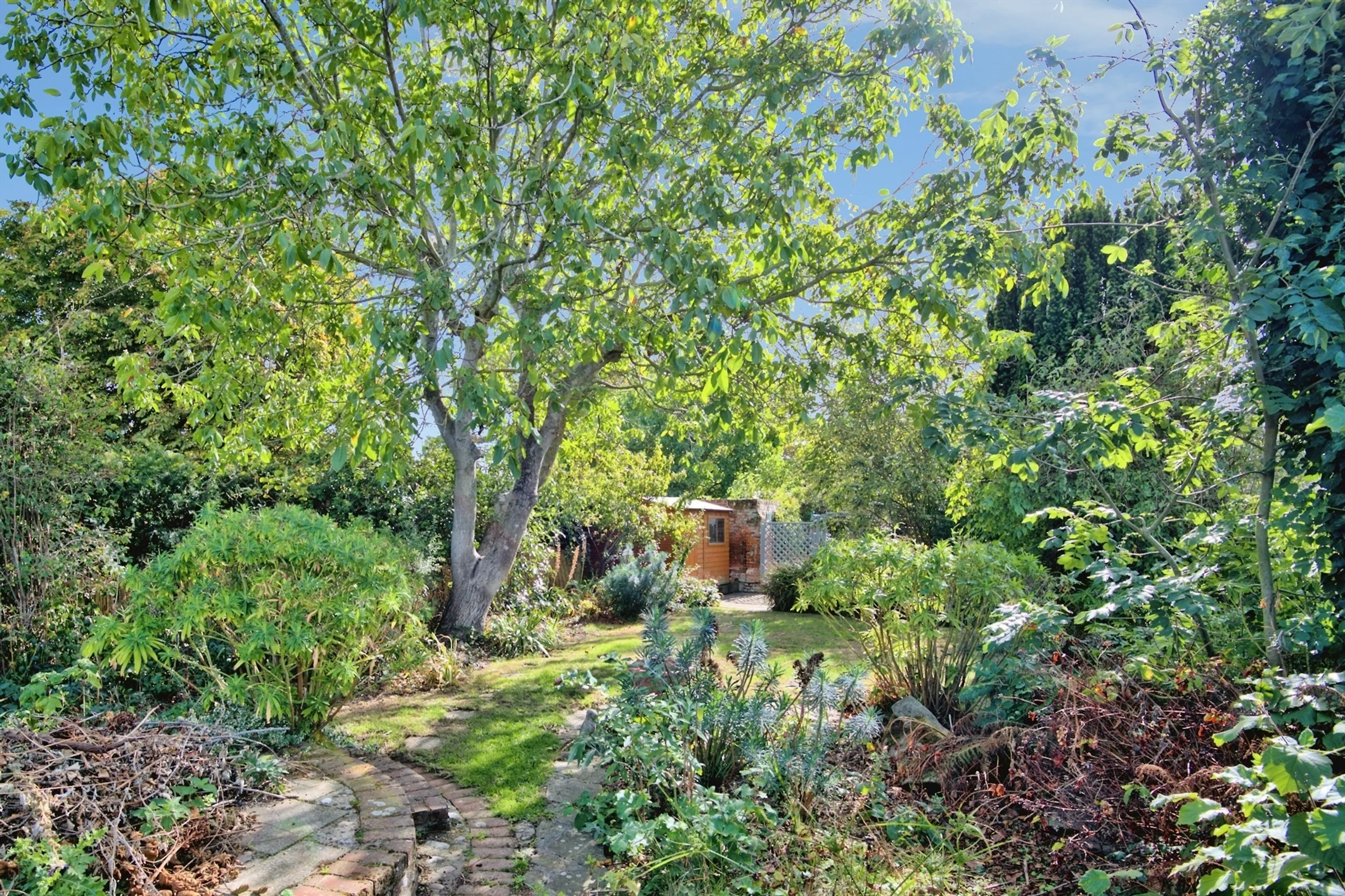 Property photo 14