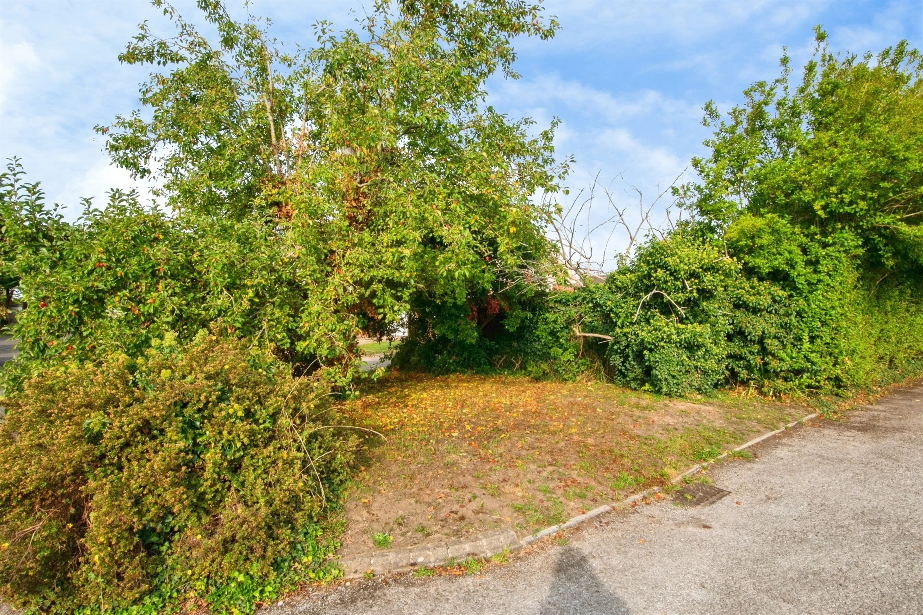 Property photo 16