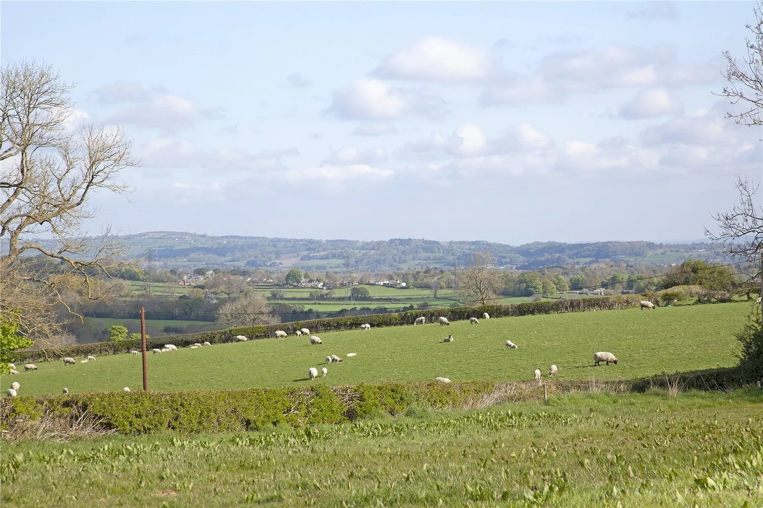 Treuddyn, Mold, CH7 photo 29