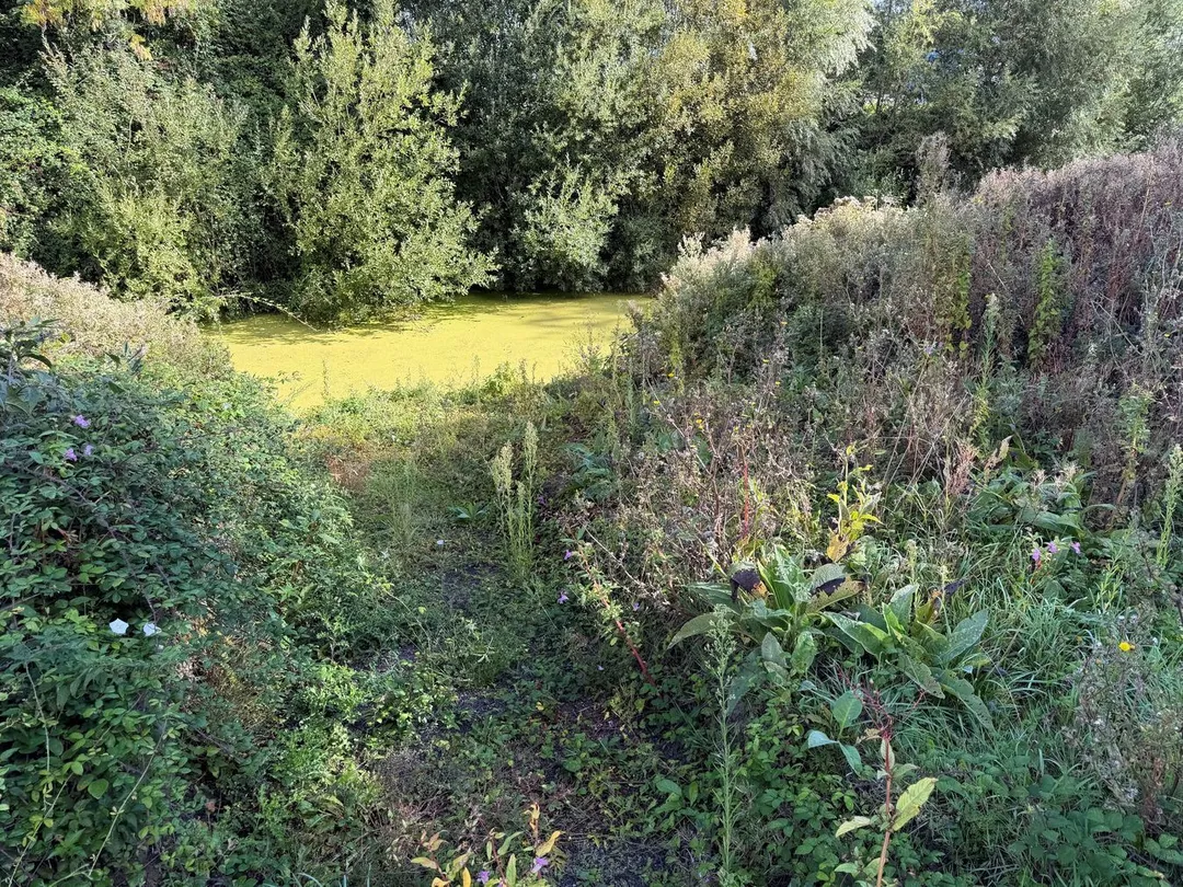 https://mr0.homeflow-assets.co.uk/files/photo/image/48505/1931/_x_/59620813.jpg