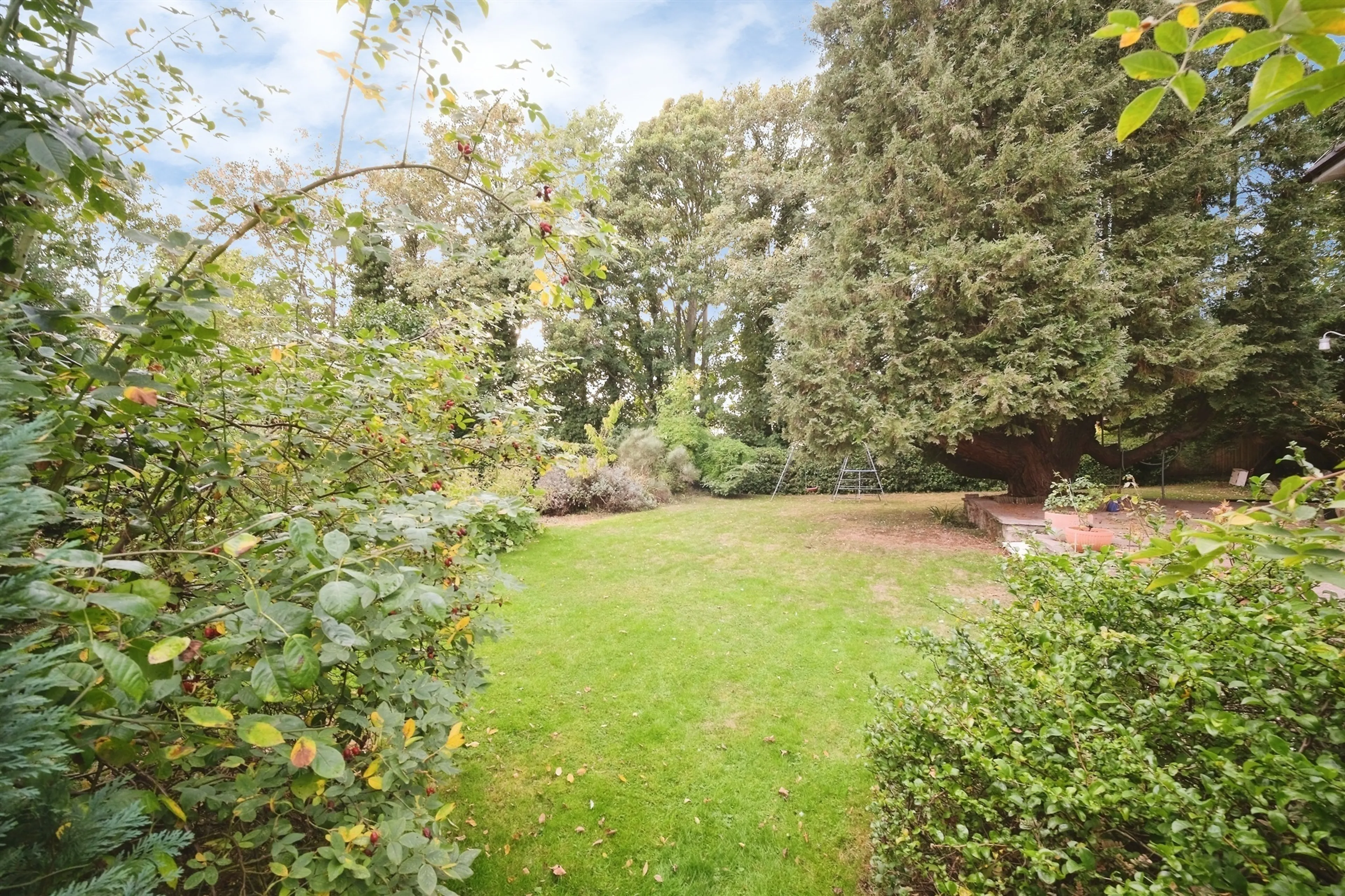 Property photo 22