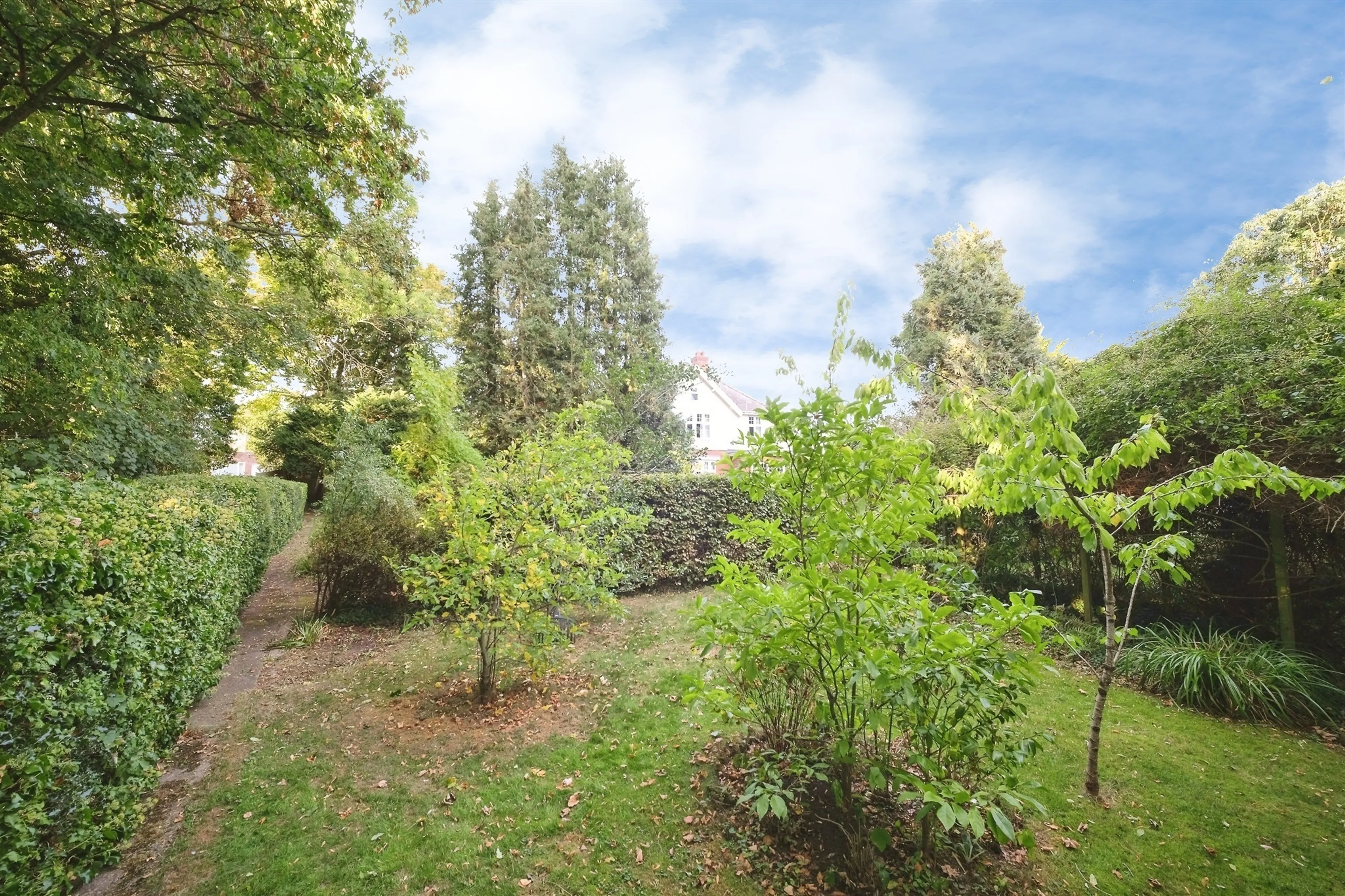 Property photo 23