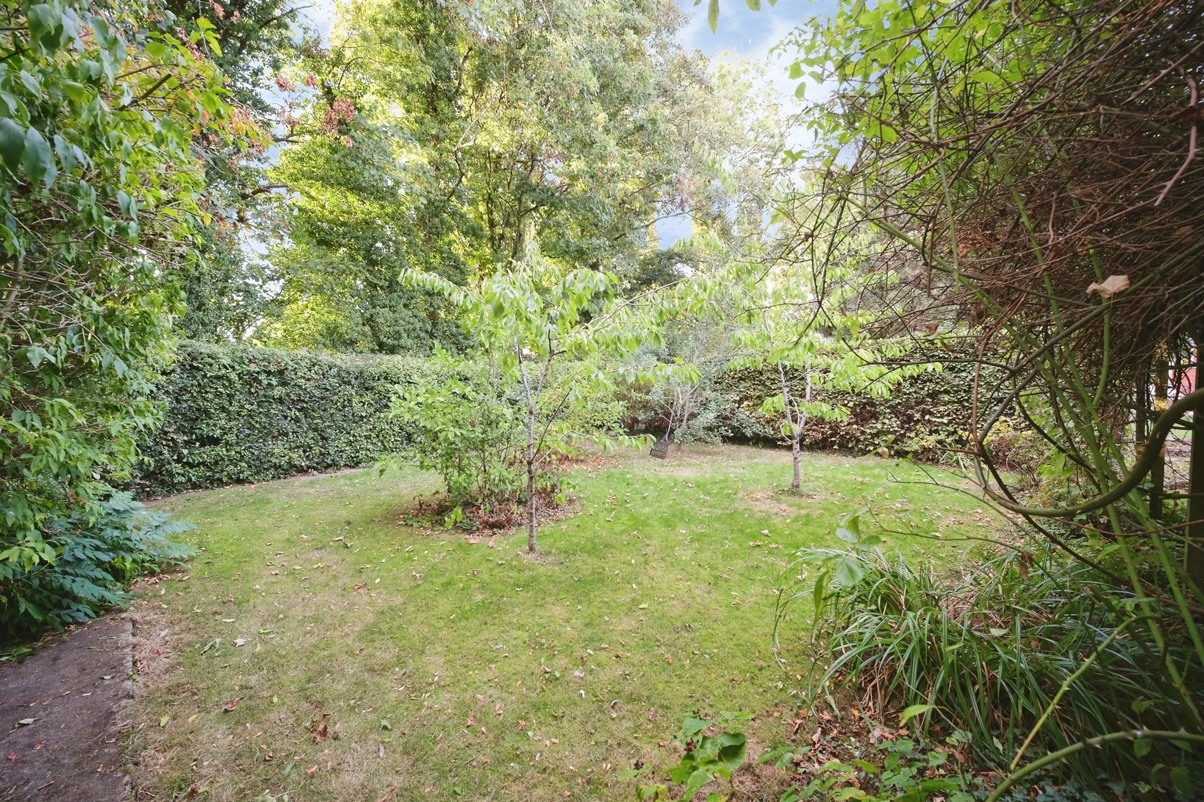 Property photo 24