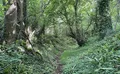 Property image gallery