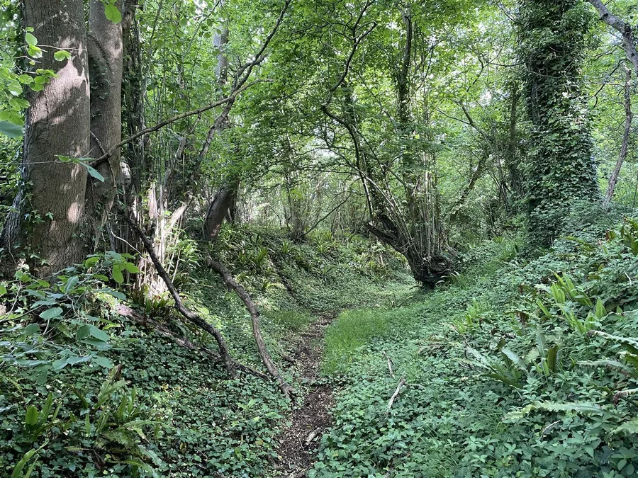 Property Image 5