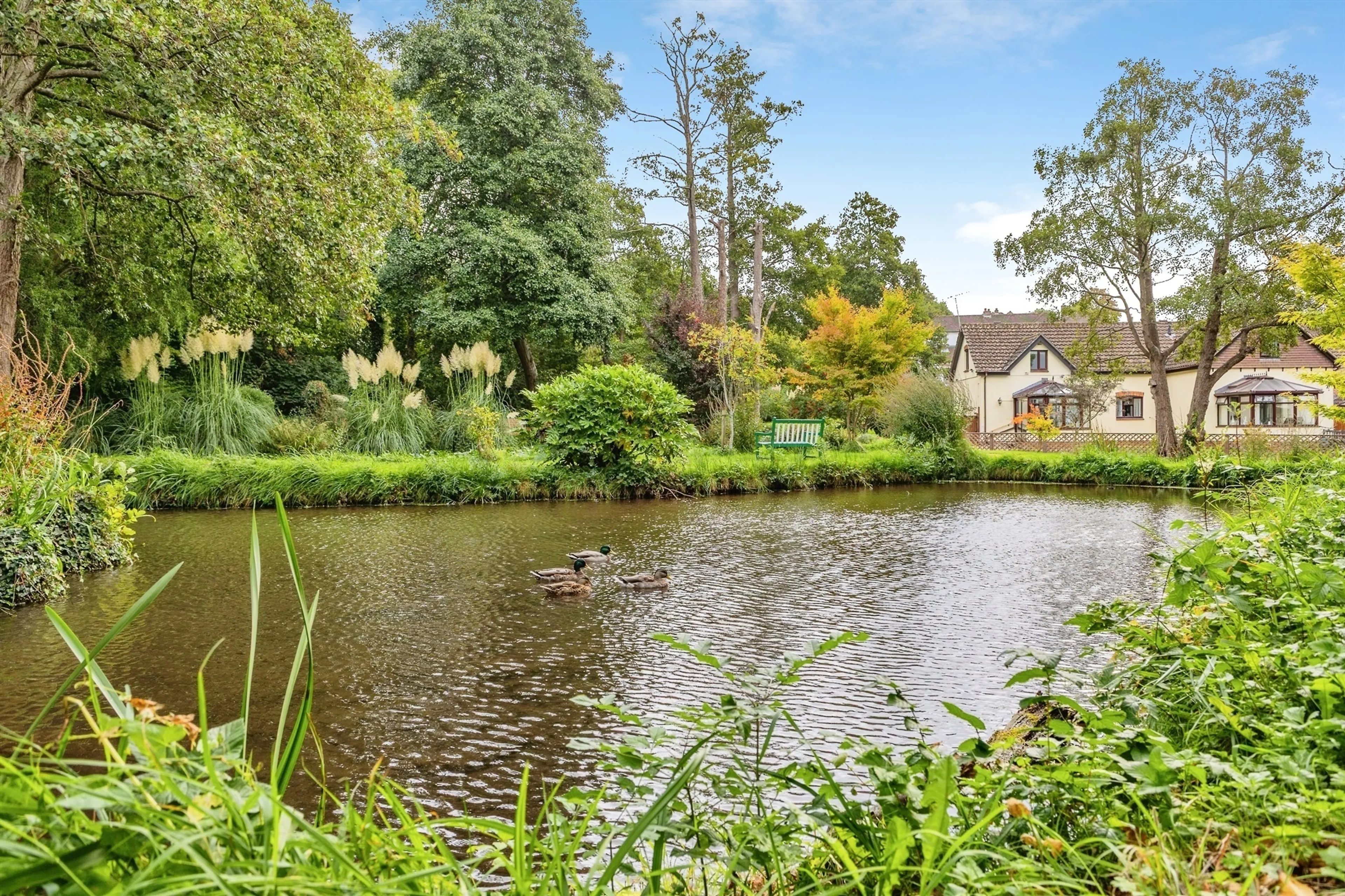 Property photo 12