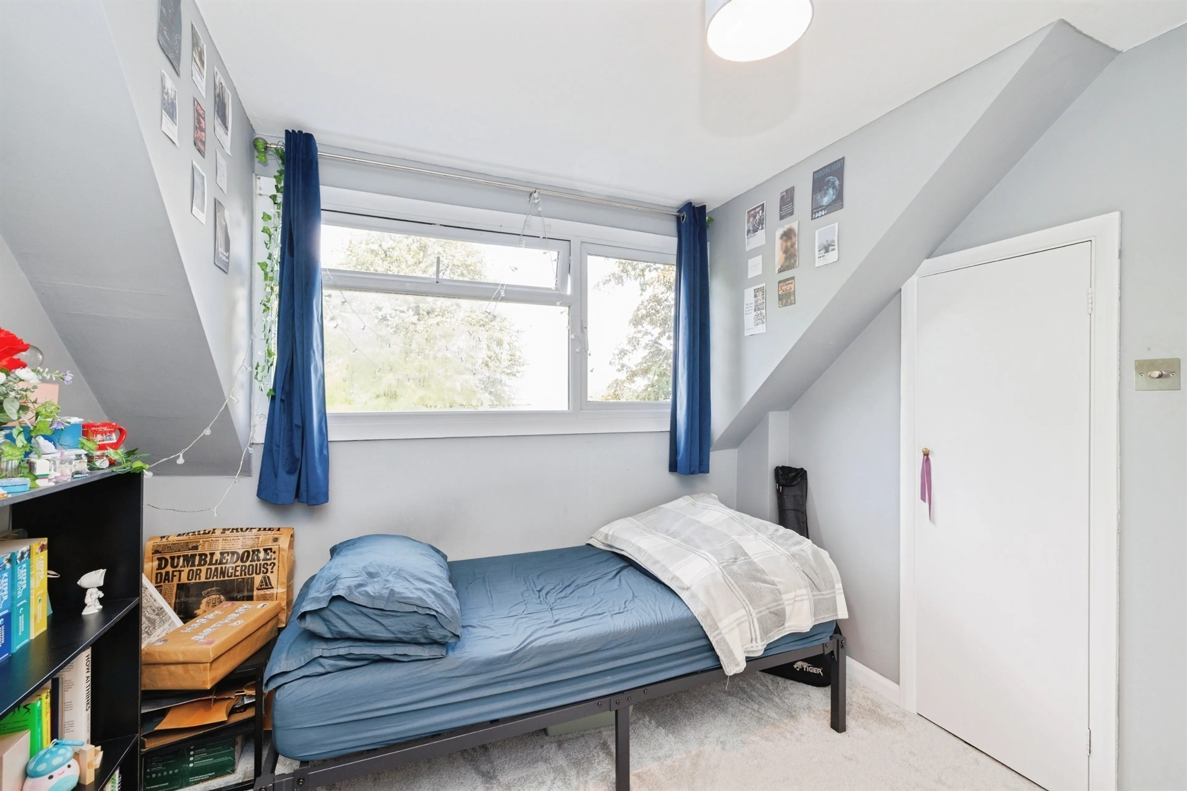 Property photo 19