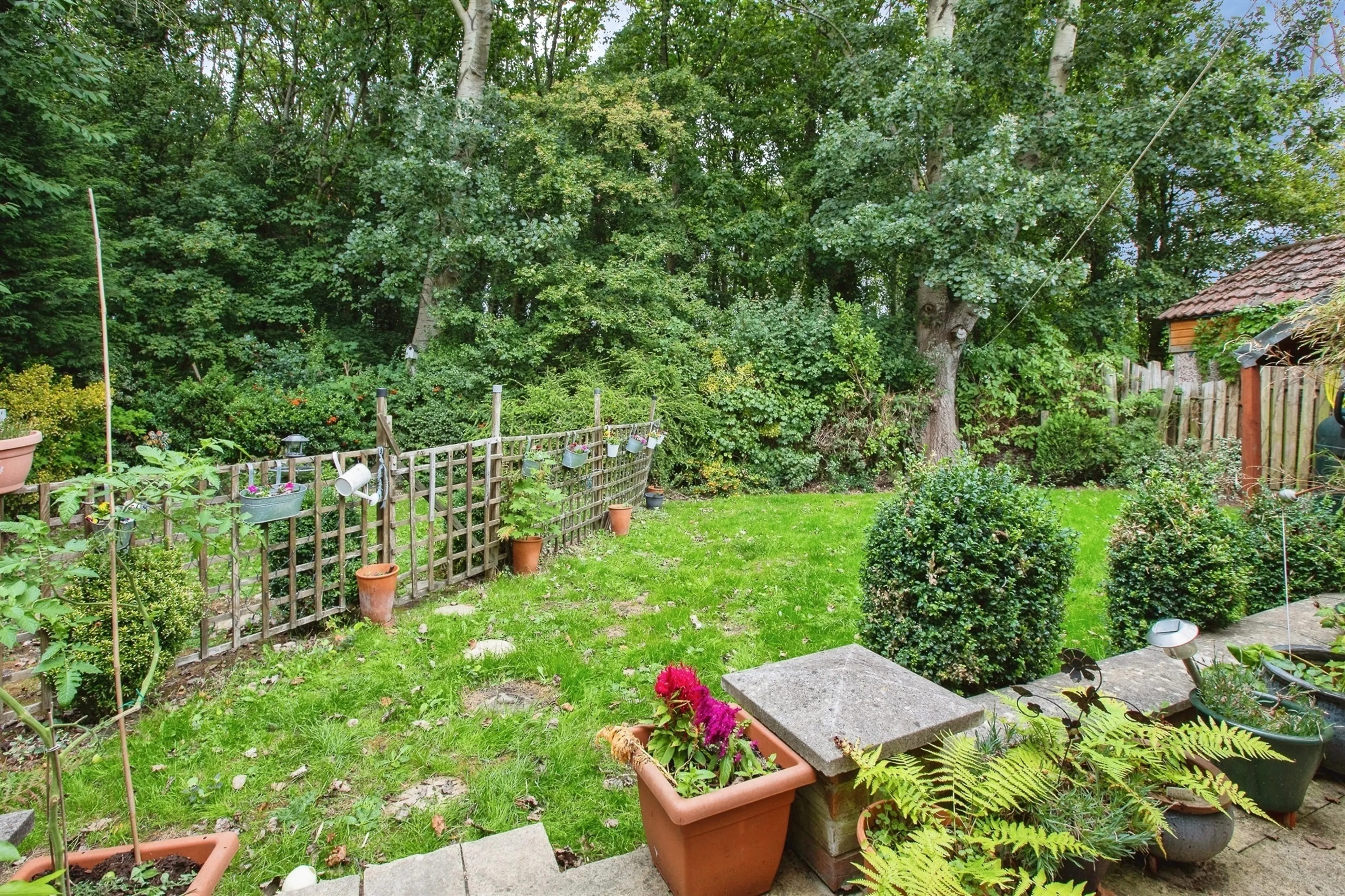 Property photo 19