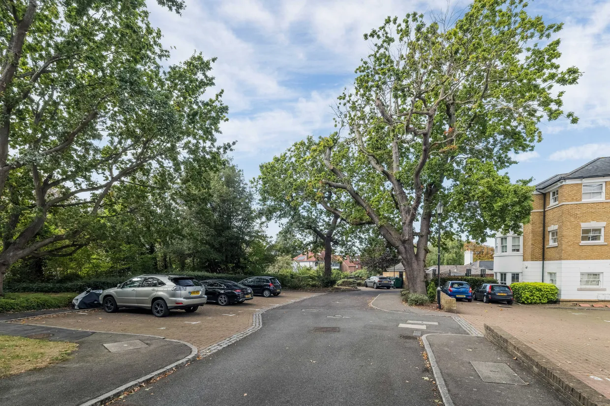 Belmont Hill, London, SE13 photo 13