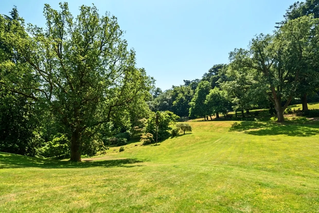 Lythe Hill Park Haslemere GU27 photo 10