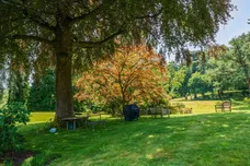 Lythe Hill Park Haslemere GU27 photo 12