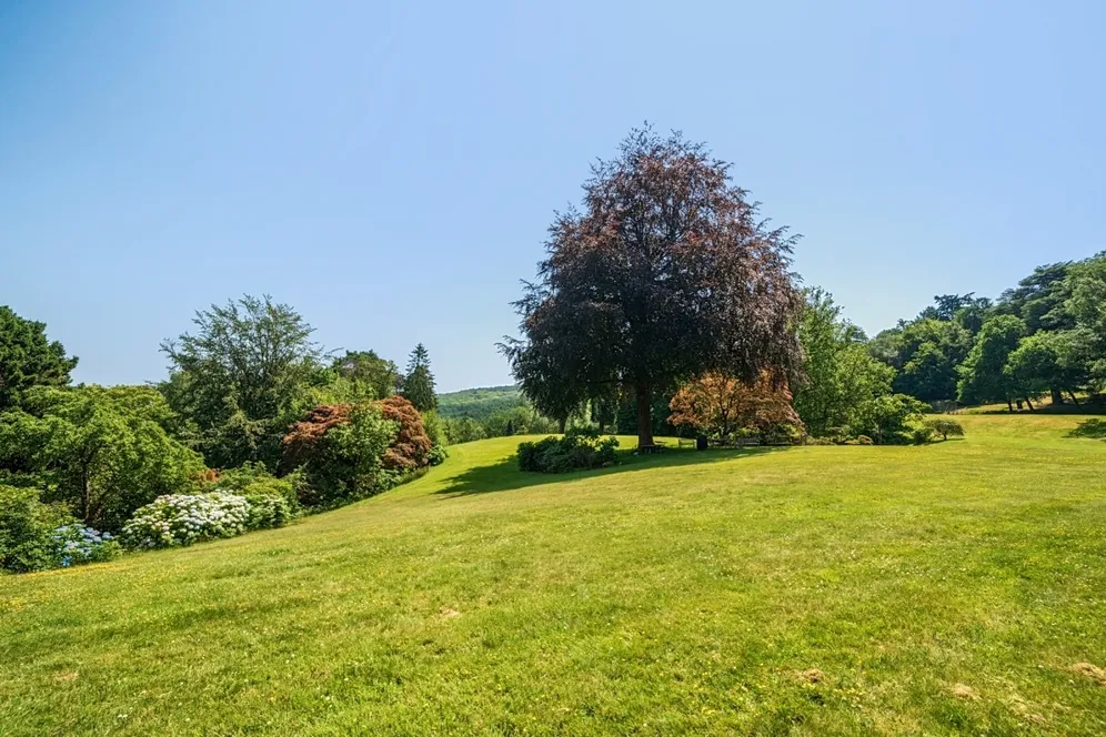 Lythe Hill Park Haslemere GU27 photo 13