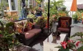 Property image gallery
