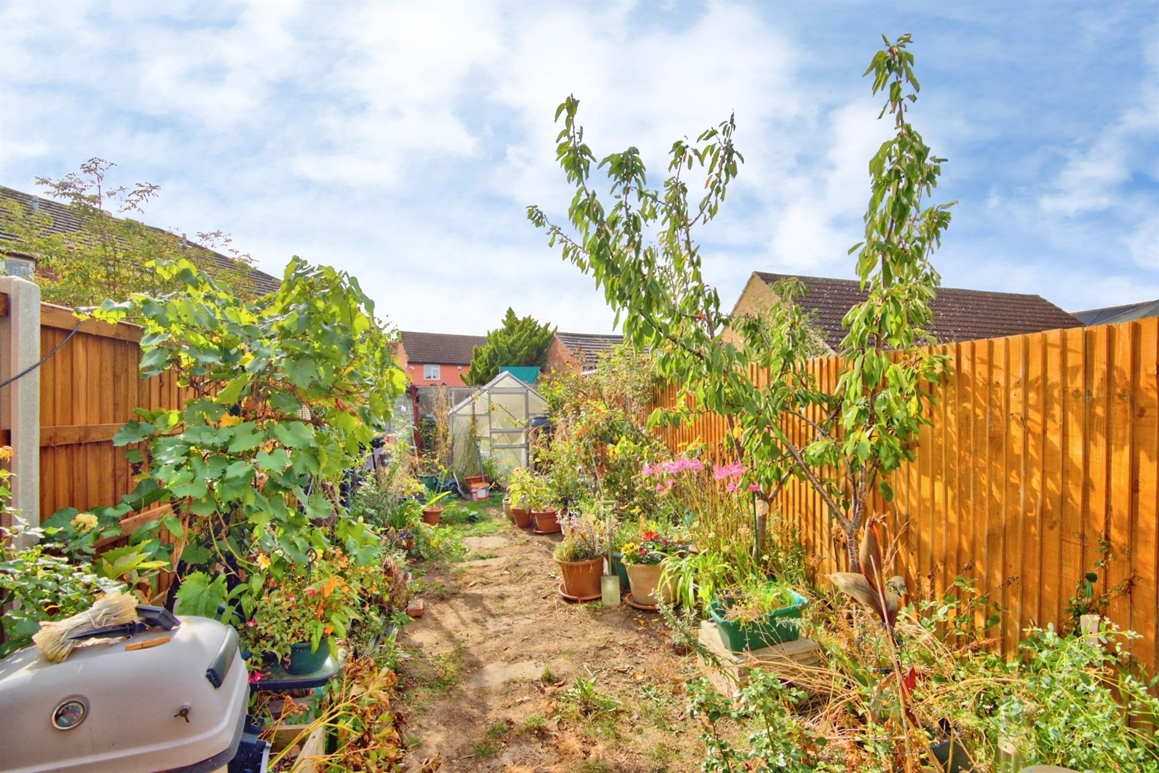 Property photo 13