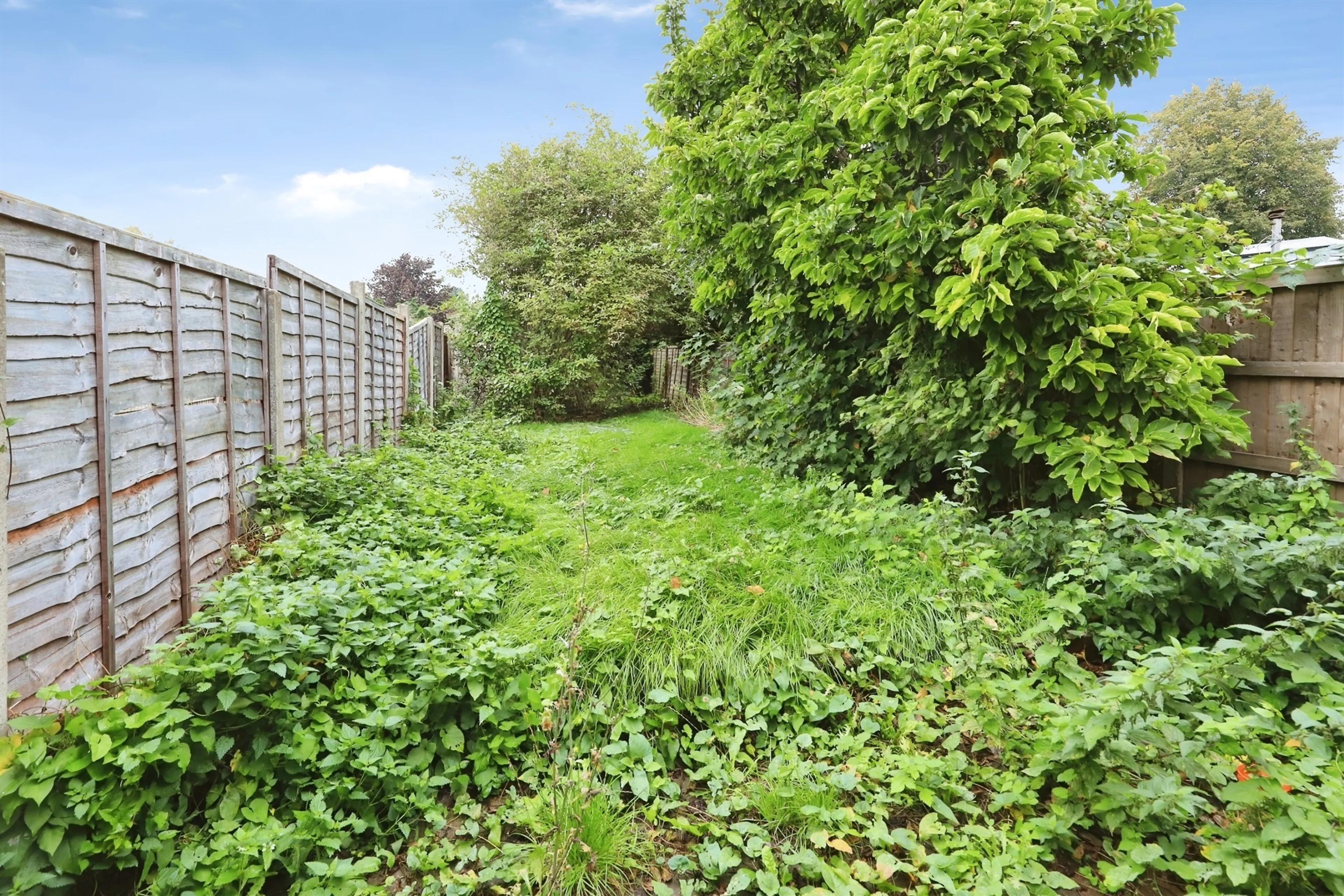 Property photo 18